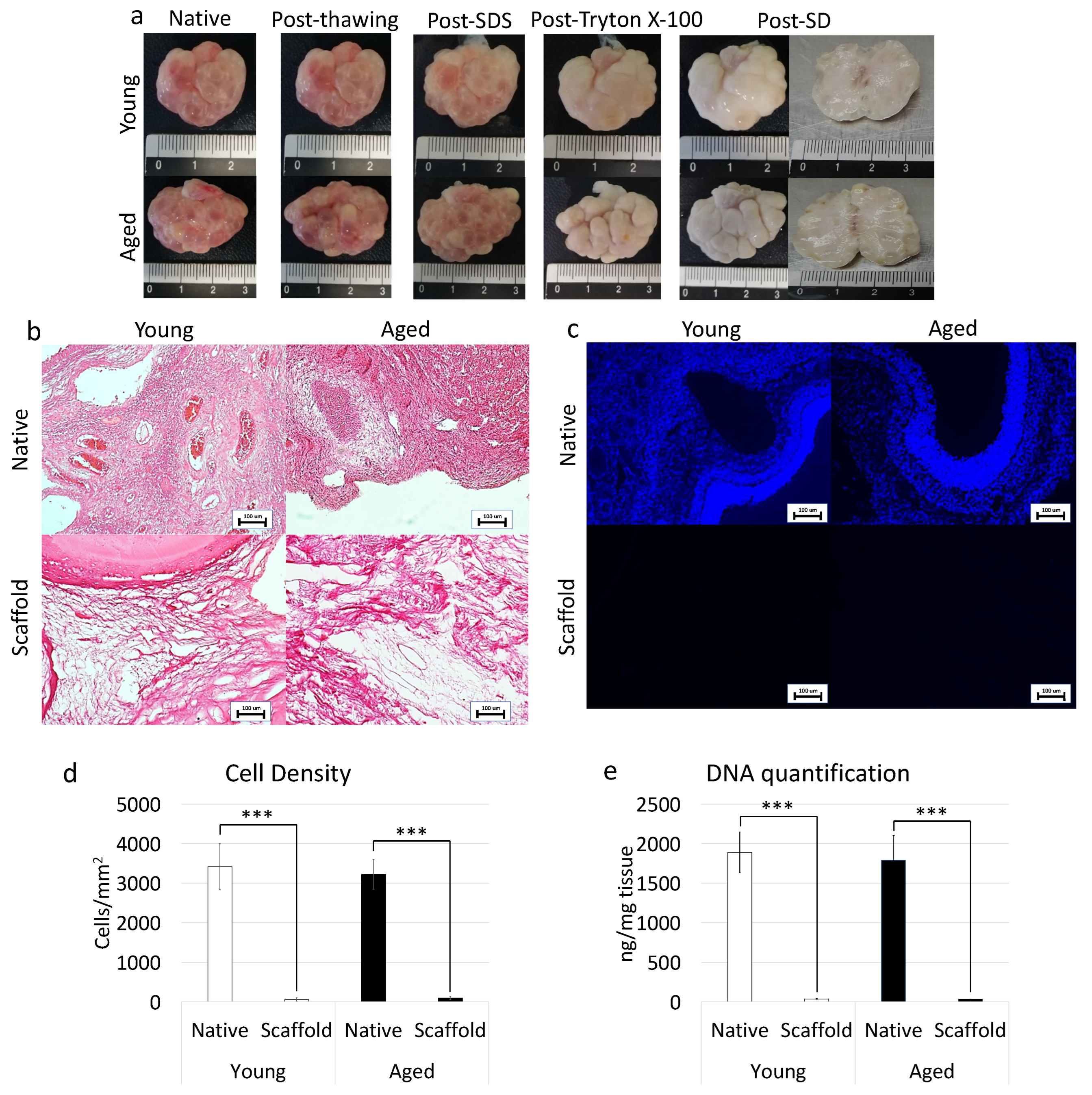 Nanomaterials 12 00345 g004 Nanomaterials 12 00345 g004