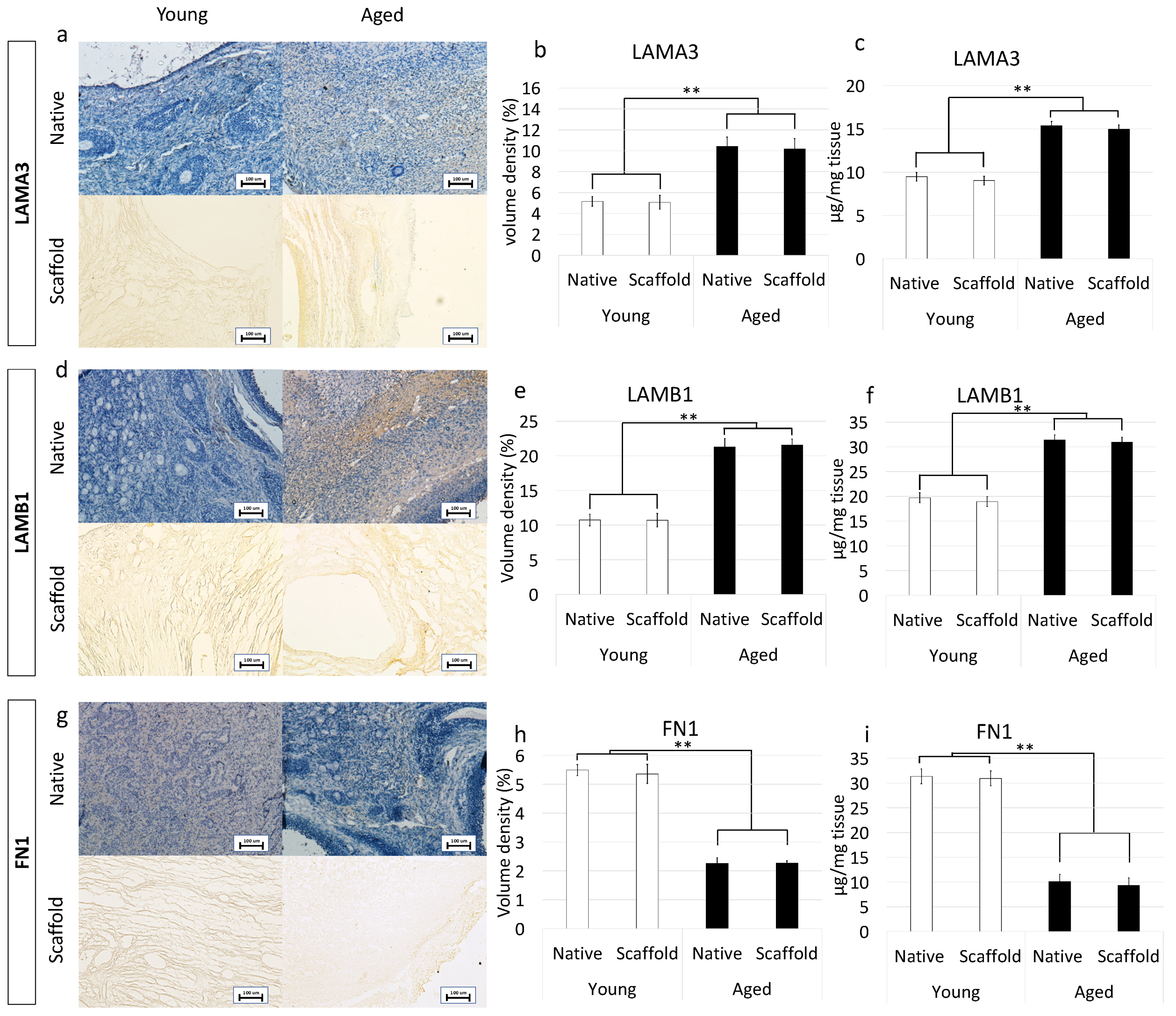 Nanomaterials 12 00345 g006 Nanomaterials 12 00345 g006