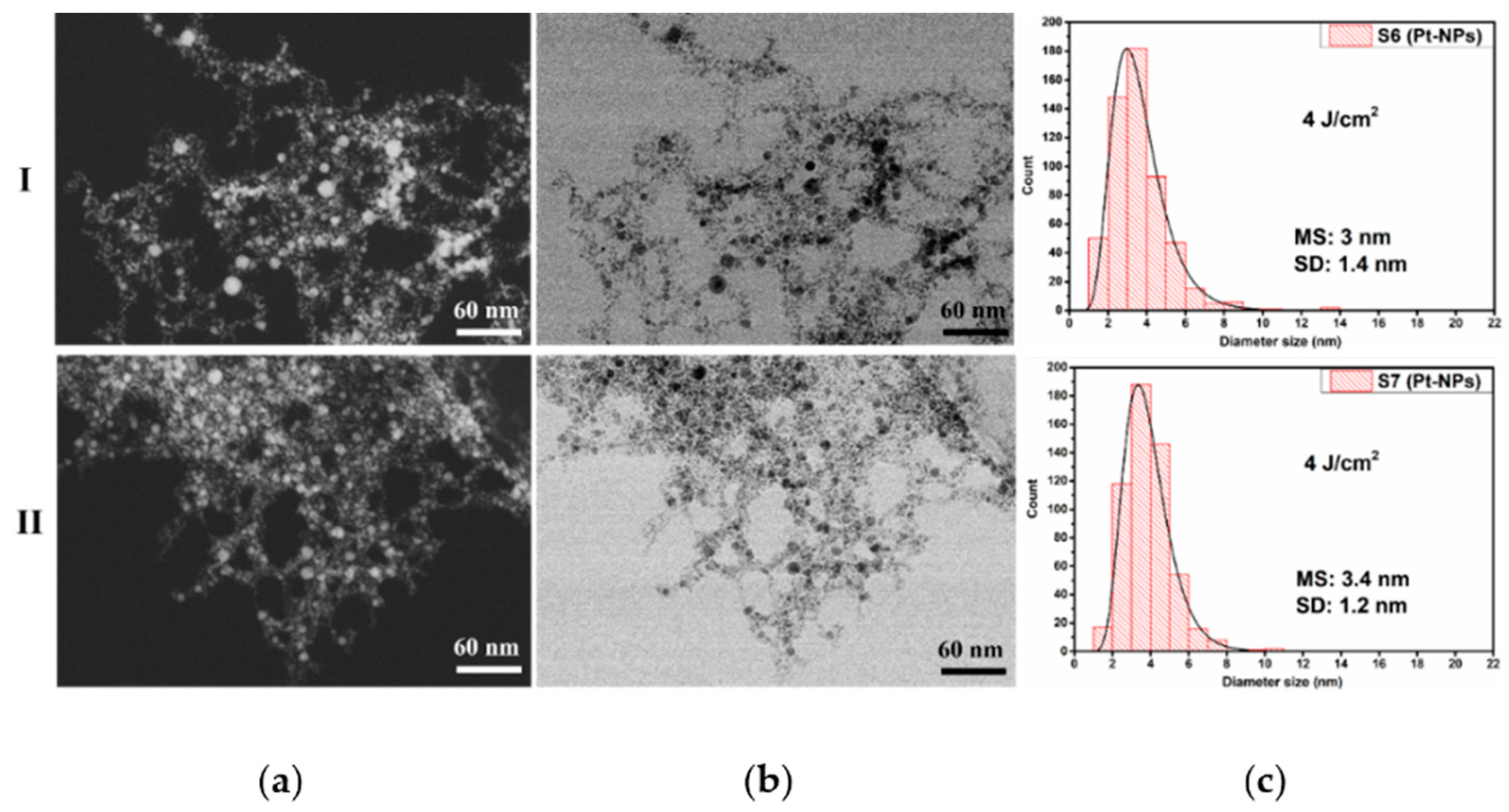 Nanomaterials 12 00348 g006