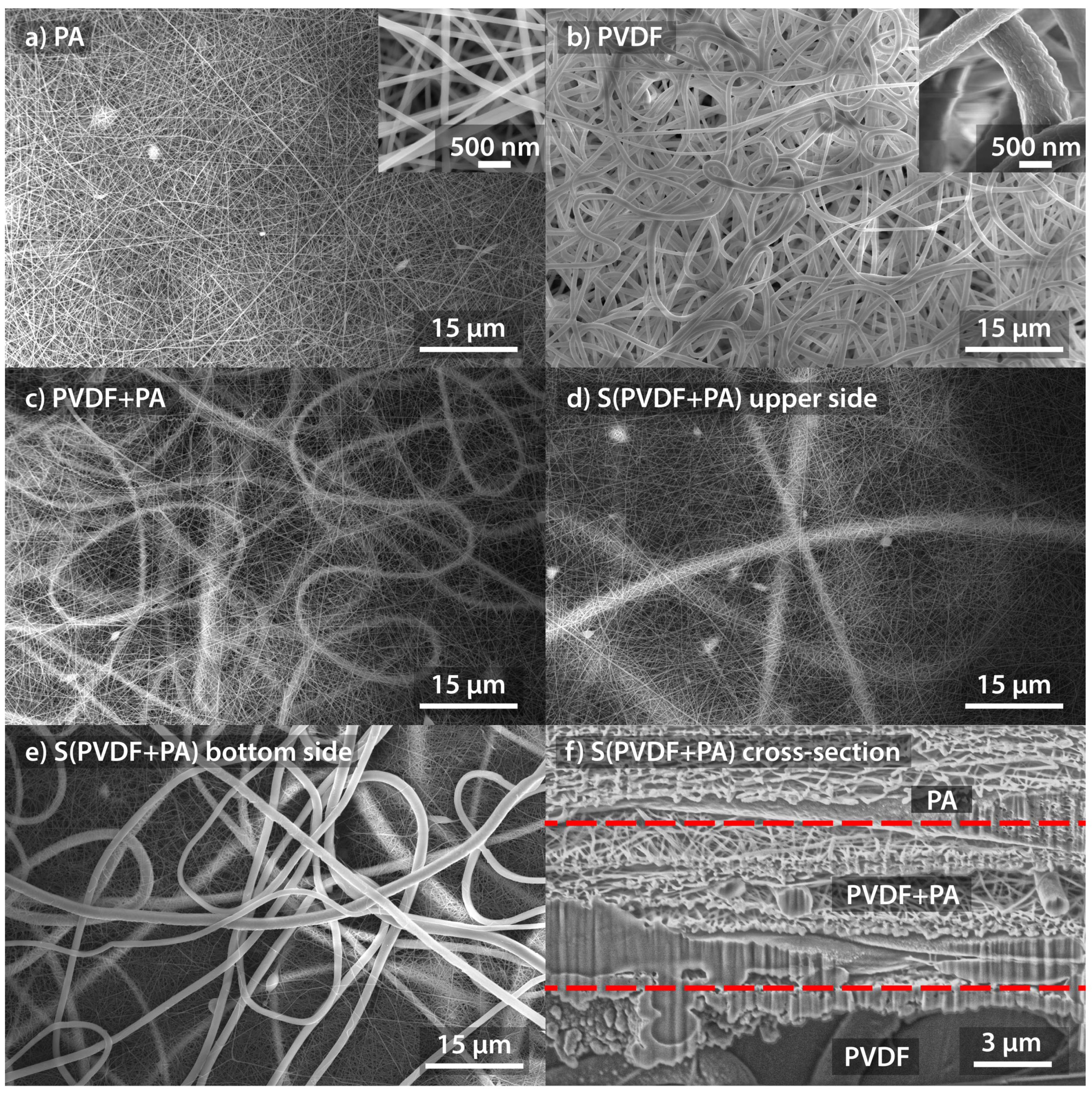 Nanomaterials 12 00349 g004