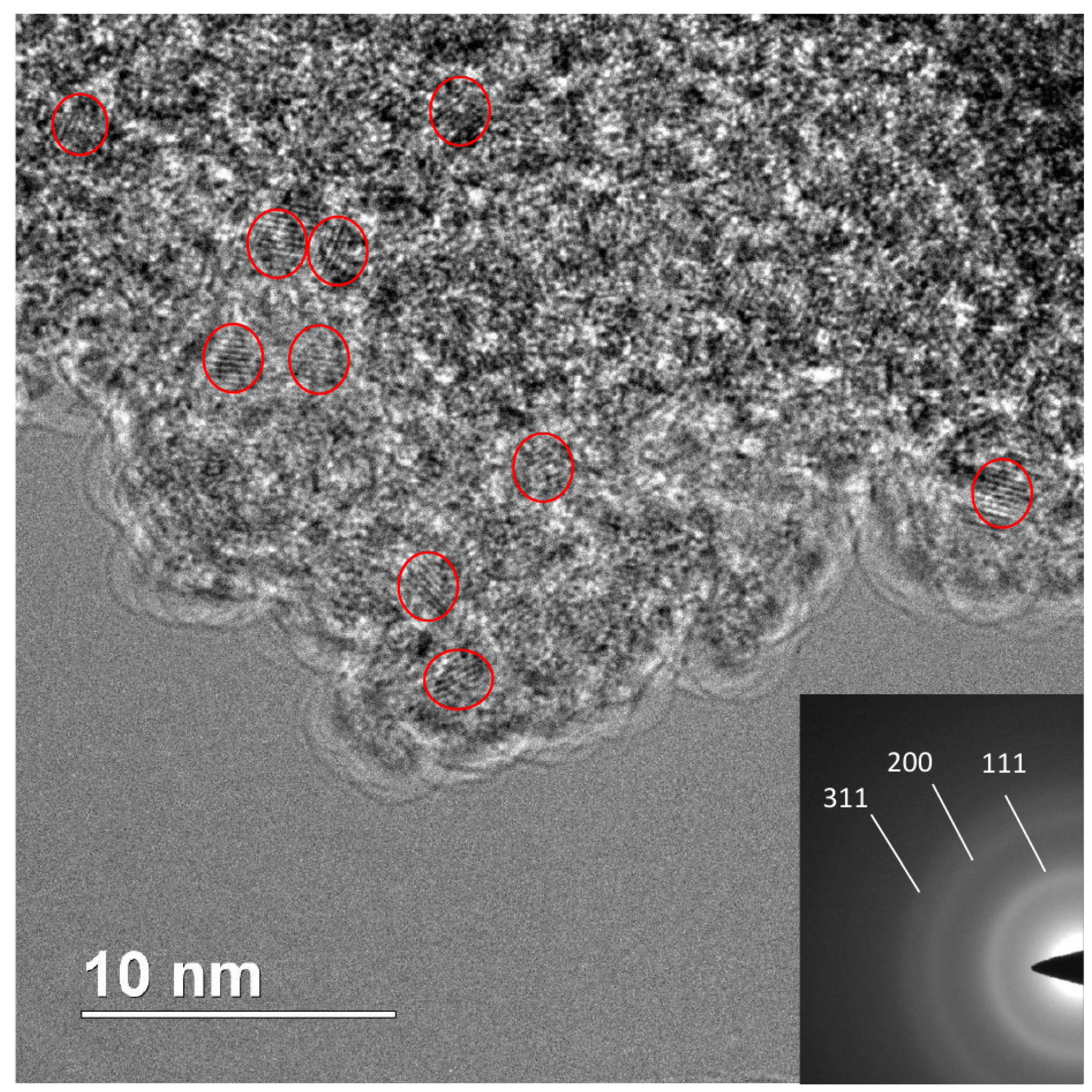 Nanomaterials 12 00351 g010