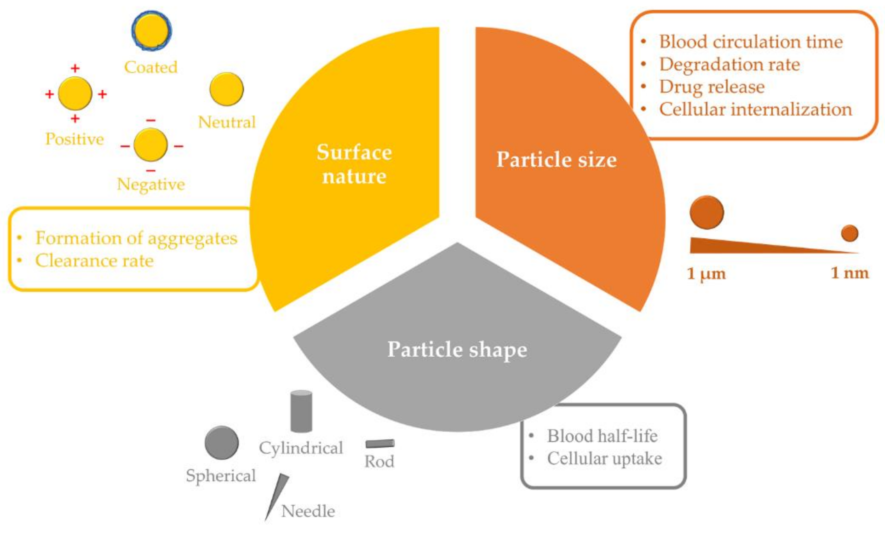 Nanomaterials 12 00354 g002 Nanomaterials 12 00354 g002