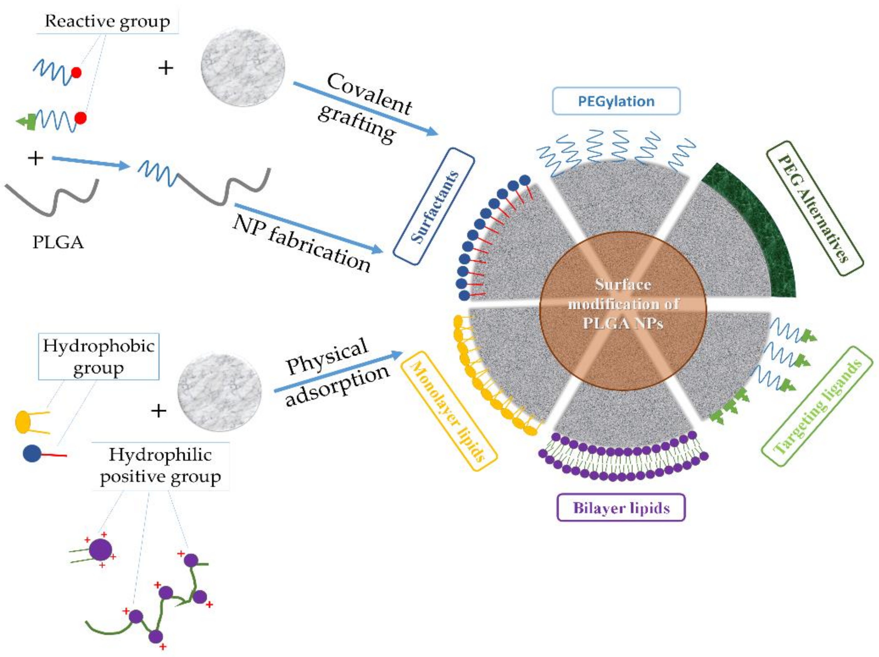 Nanomaterials 12 00354 g003 Nanomaterials 12 00354 g003