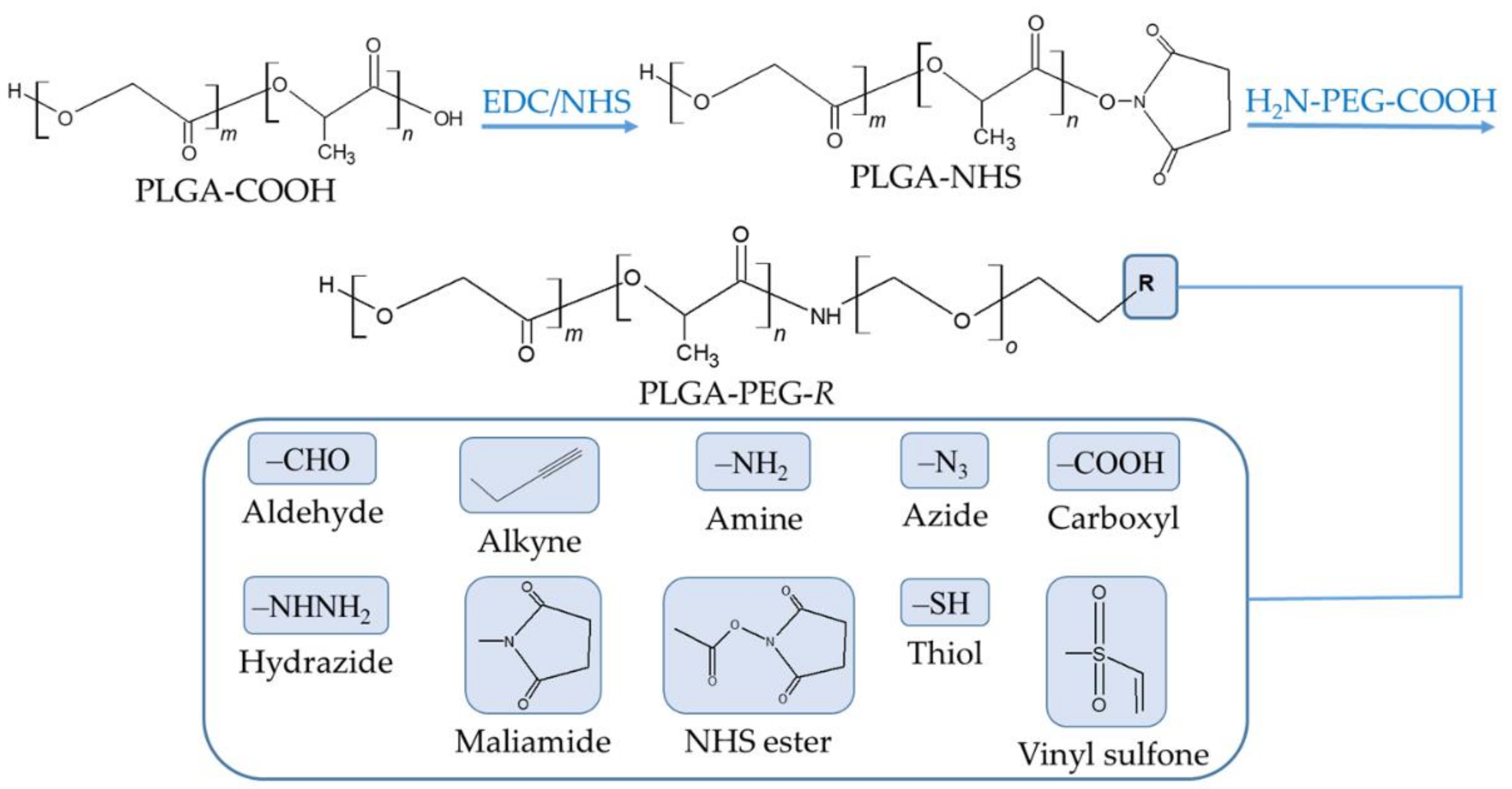 Nanomaterials 12 00354 g004 Nanomaterials 12 00354 g004