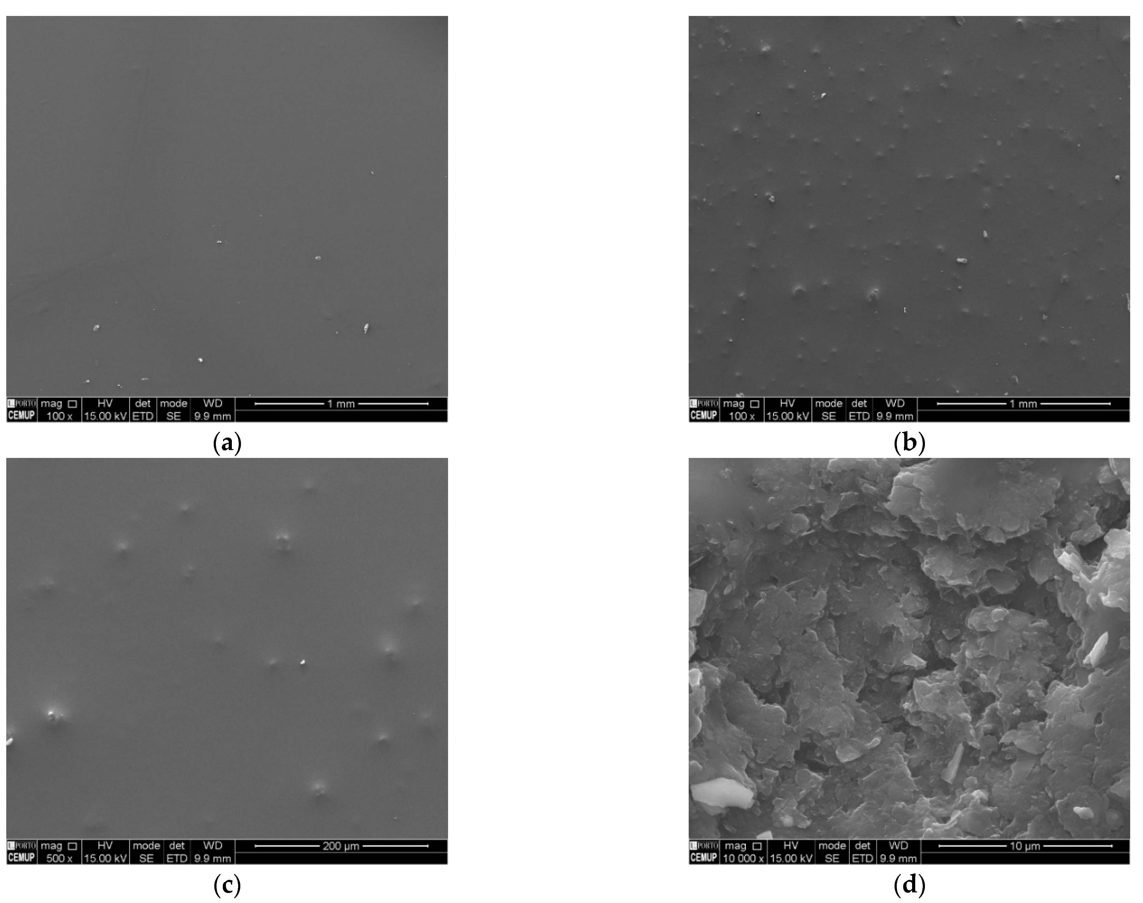 Nanomaterials 12 00355 g002