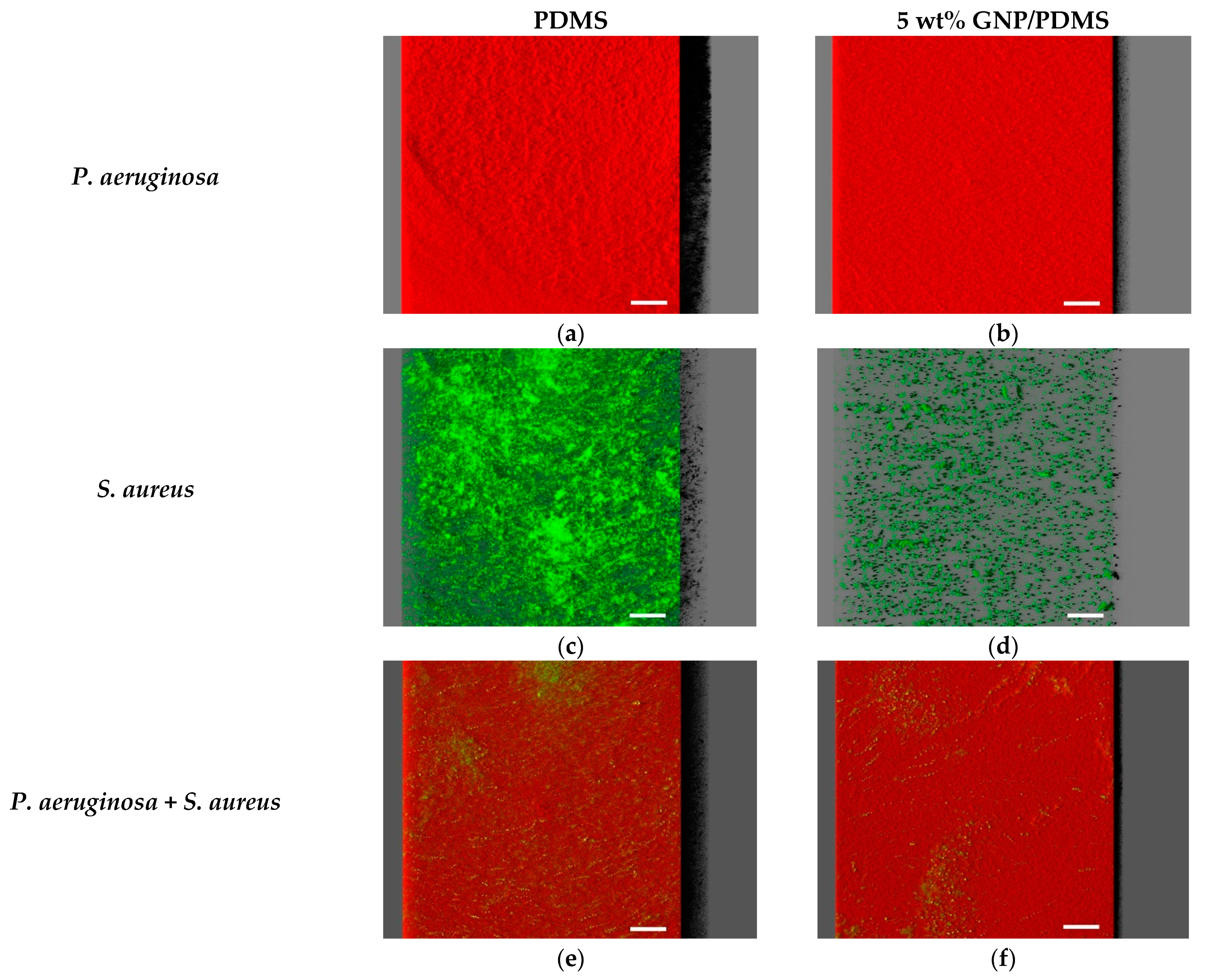 Nanomaterials 12 00355 g006
