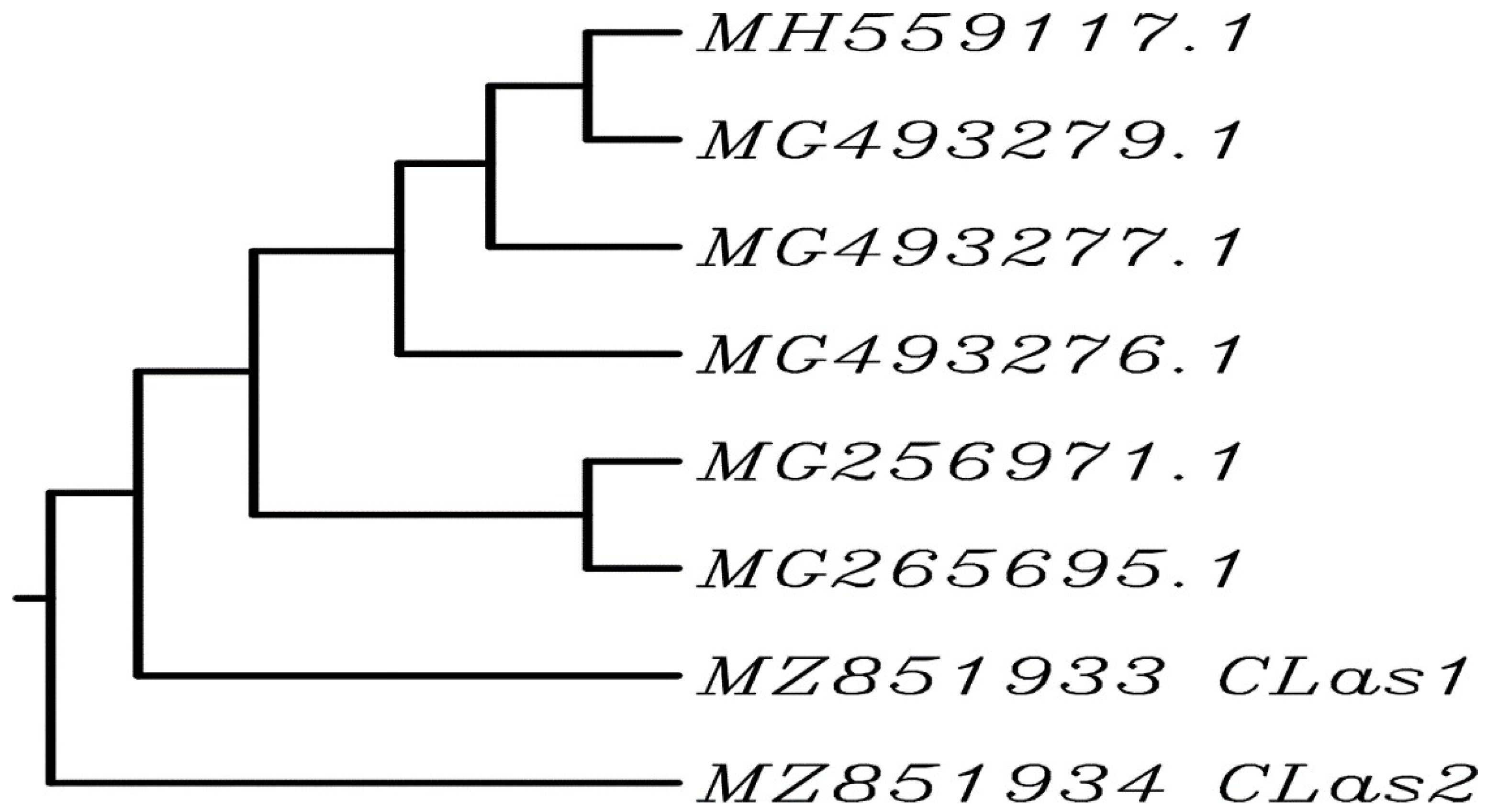 Nanomaterials 12 00356 g002 Nanomaterials 12 00356 g002