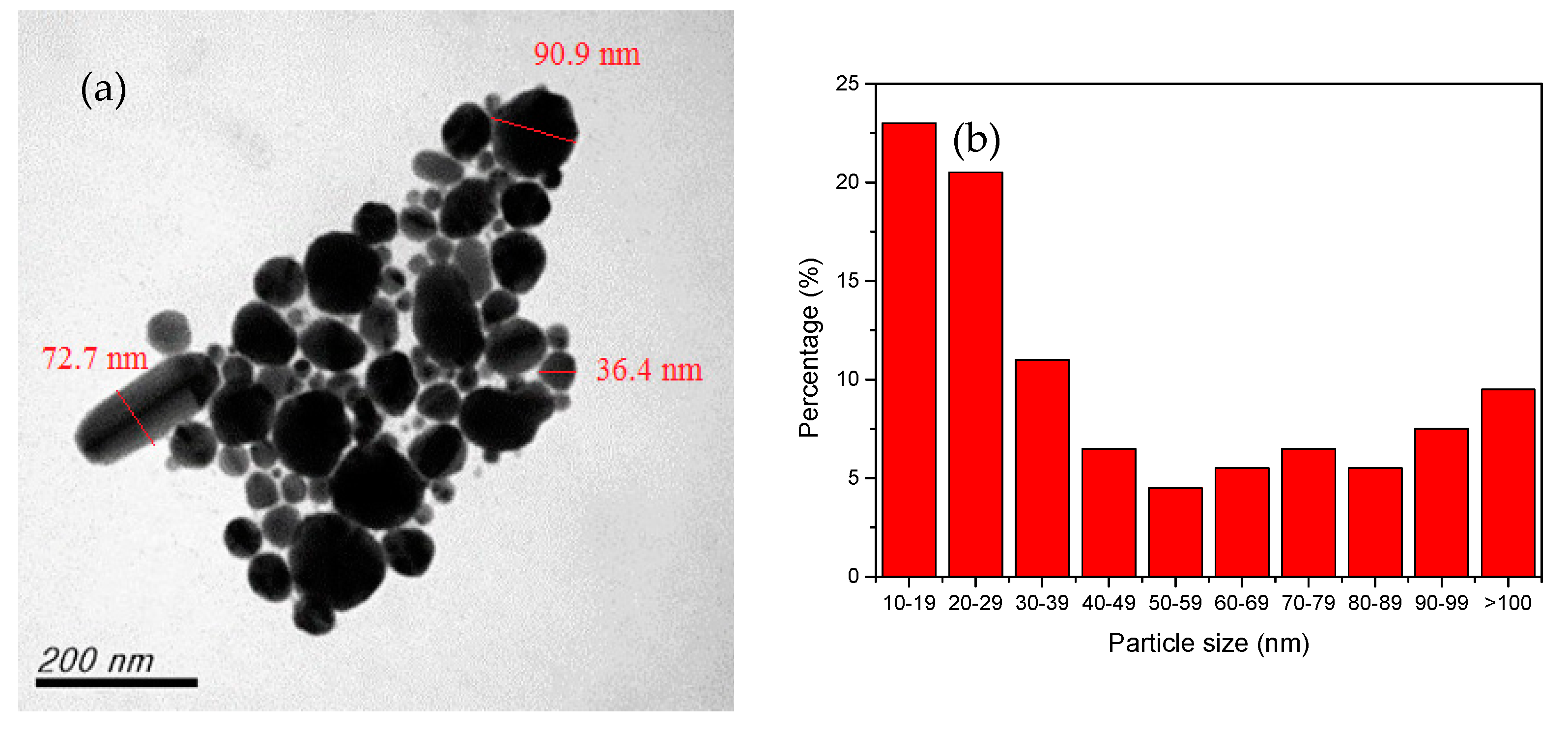 Nanomaterials 12 00360 g002 550