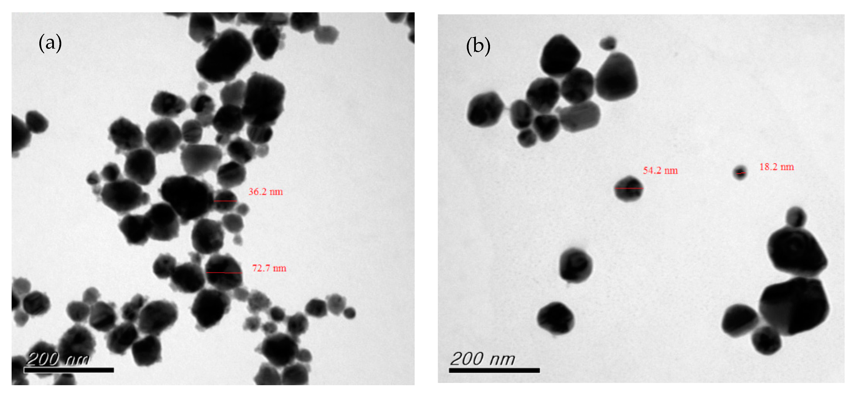 Nanomaterials 12 00360 g003 550
