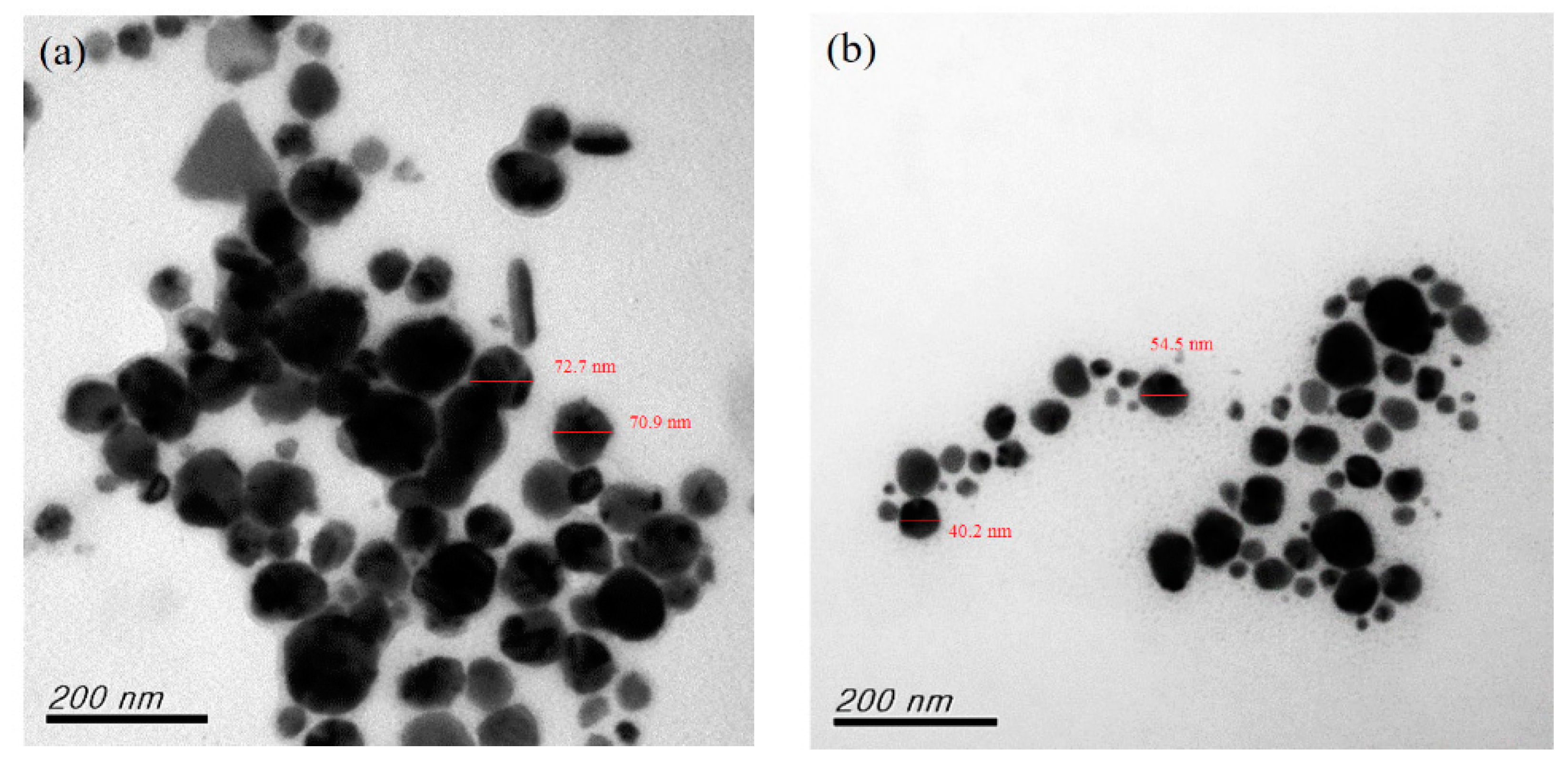 Nanomaterials 12 00360 g005 550