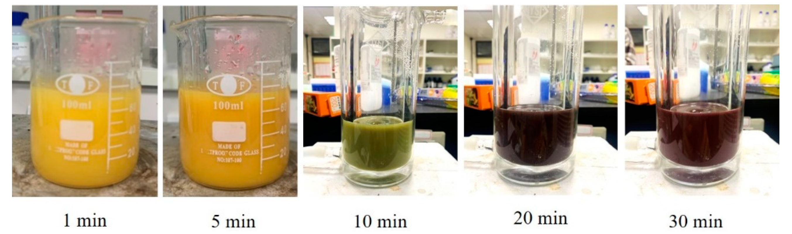Nanomaterials 12 00360 g009 550