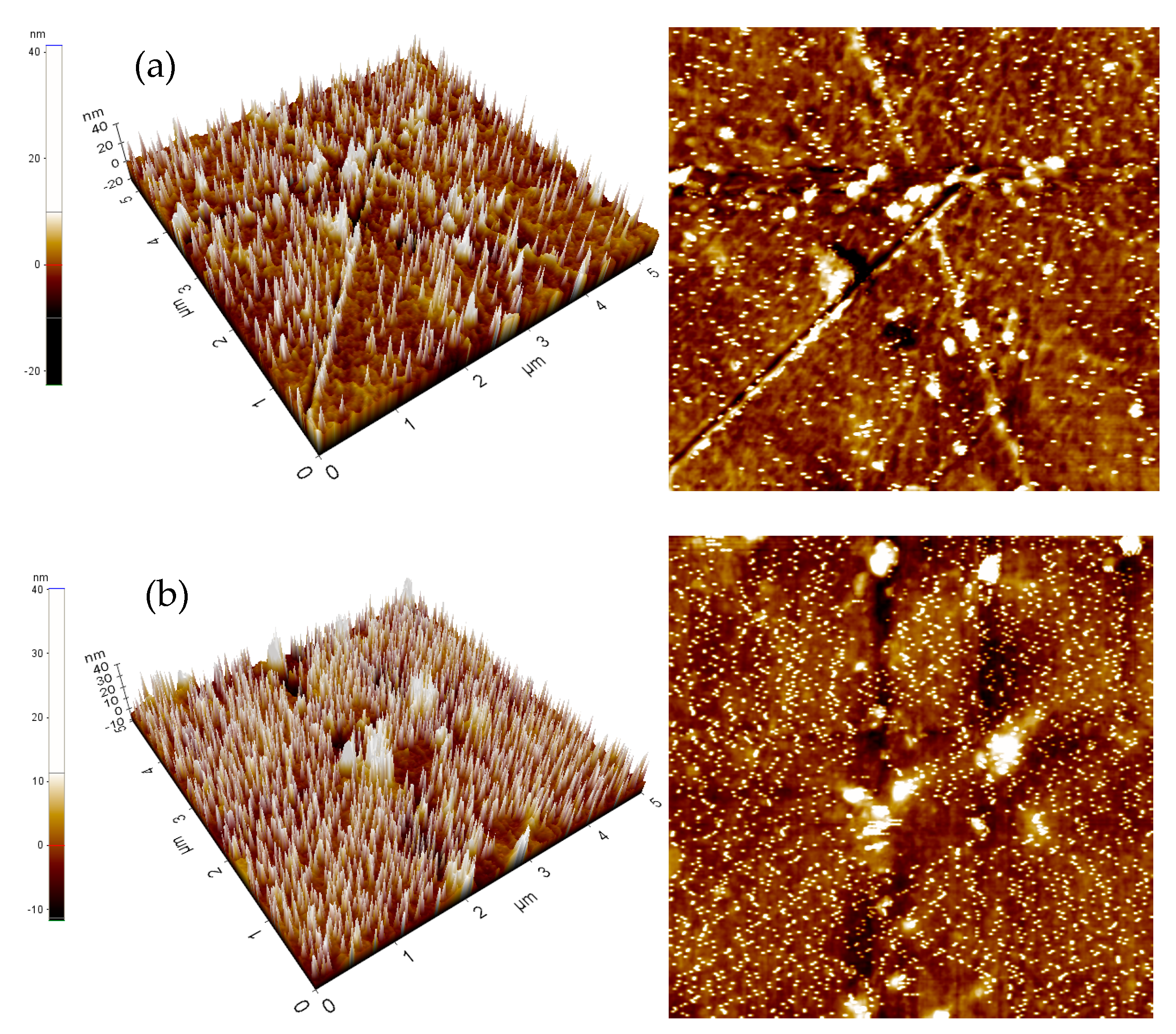 Nanomaterials 12 00360 g013 550