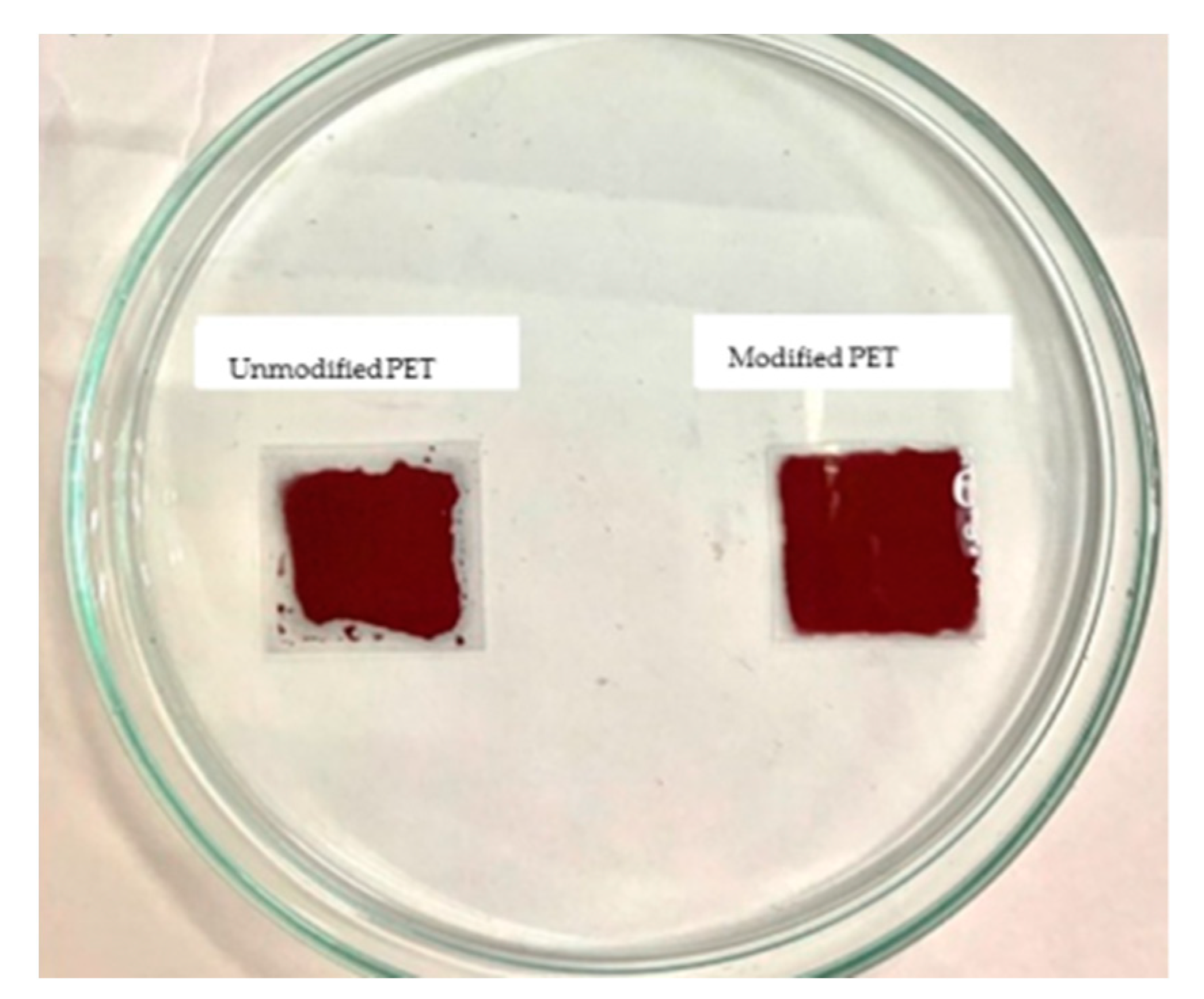 Nanomaterials 12 00360 g014 550