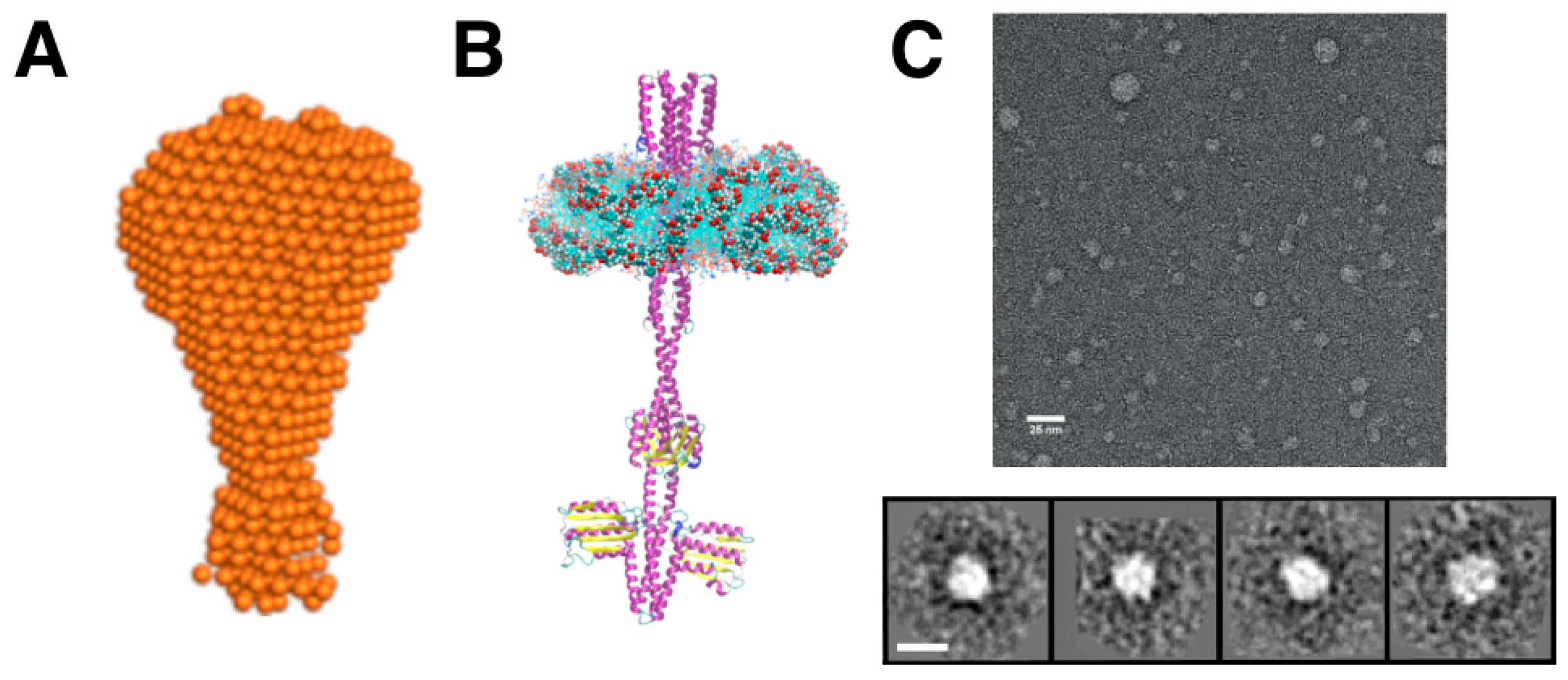 Nanomaterials 12 00361 g004 Nanomaterials 12 00361 g004