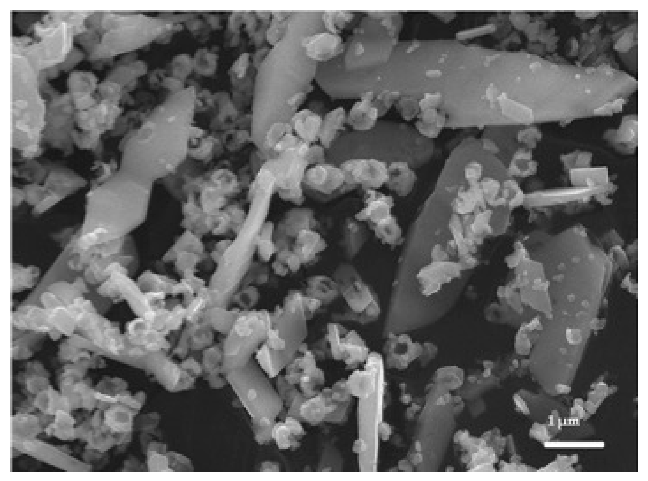 Nanomaterials 12 00362 g002 550