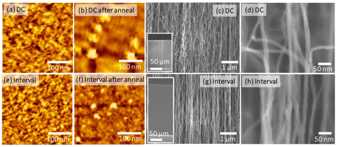 Nanomaterials 12 00365 g005