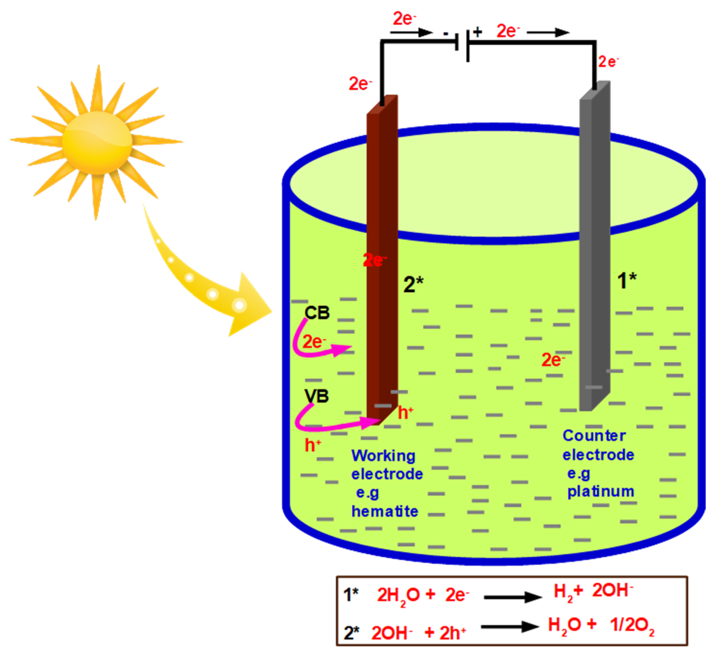 Nanomaterials 12 00366 g001 550