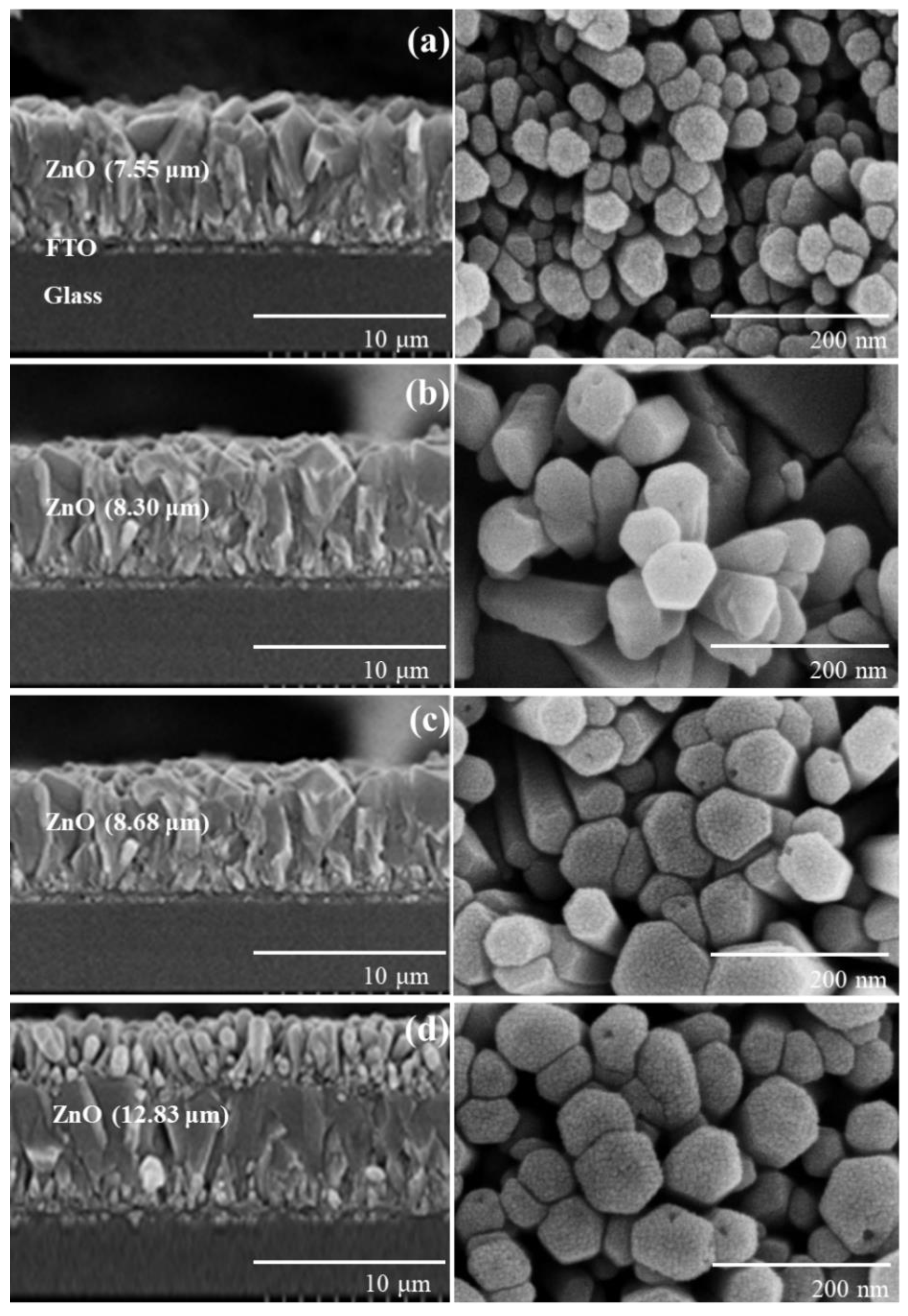 Nanomaterials 12 00372 g001