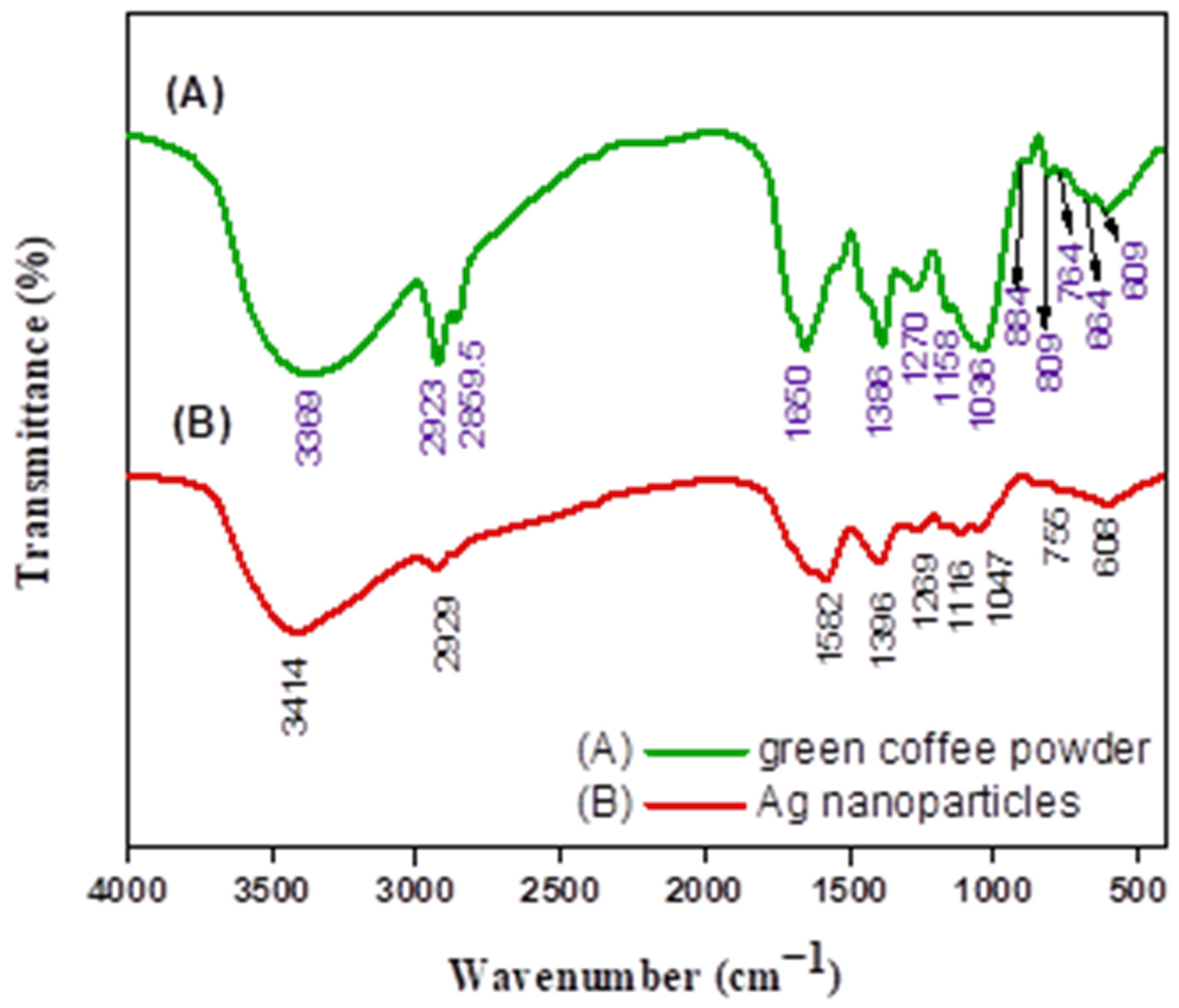 Nanomaterials 12 00373 g003
