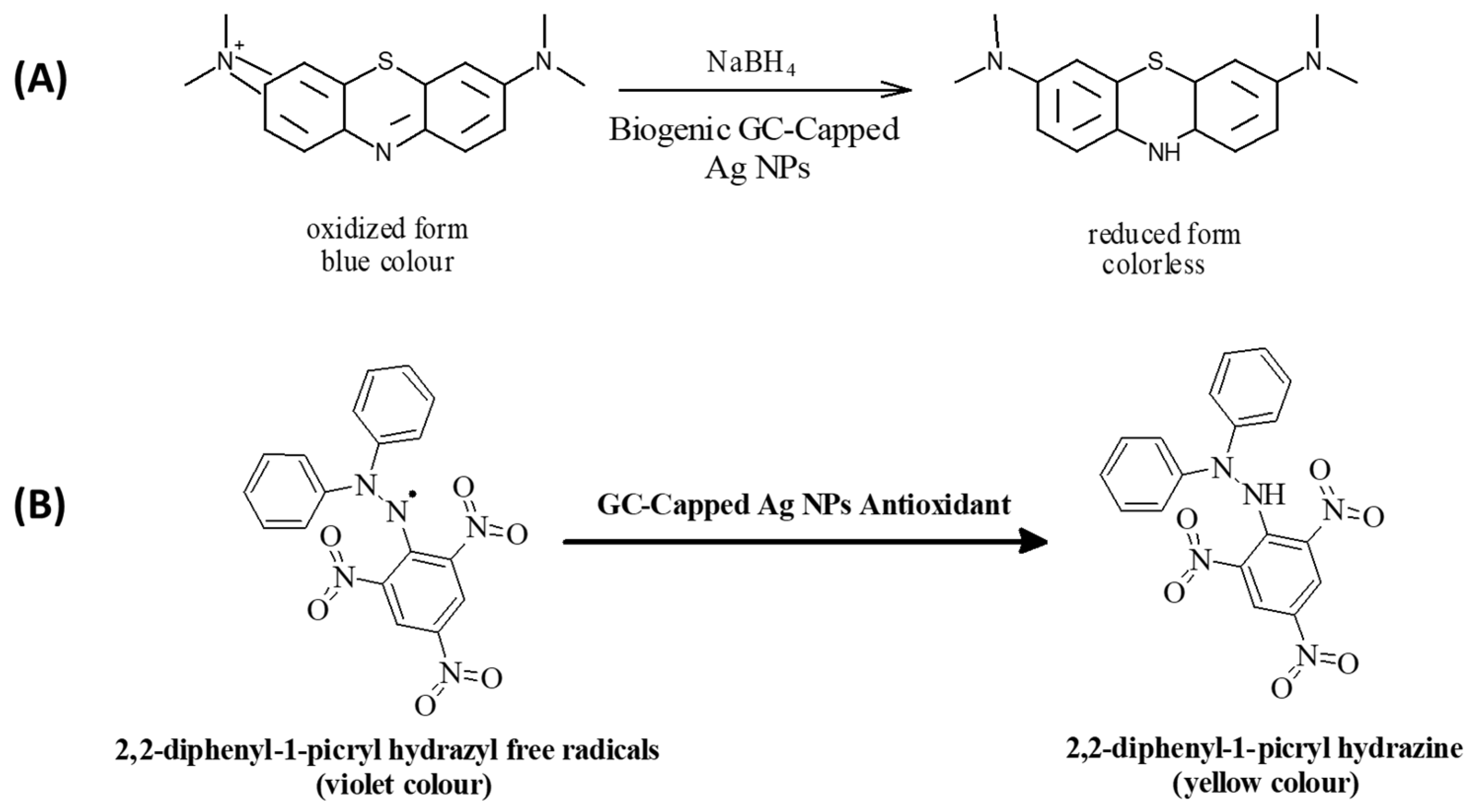 Nanomaterials 12 00373 sch001