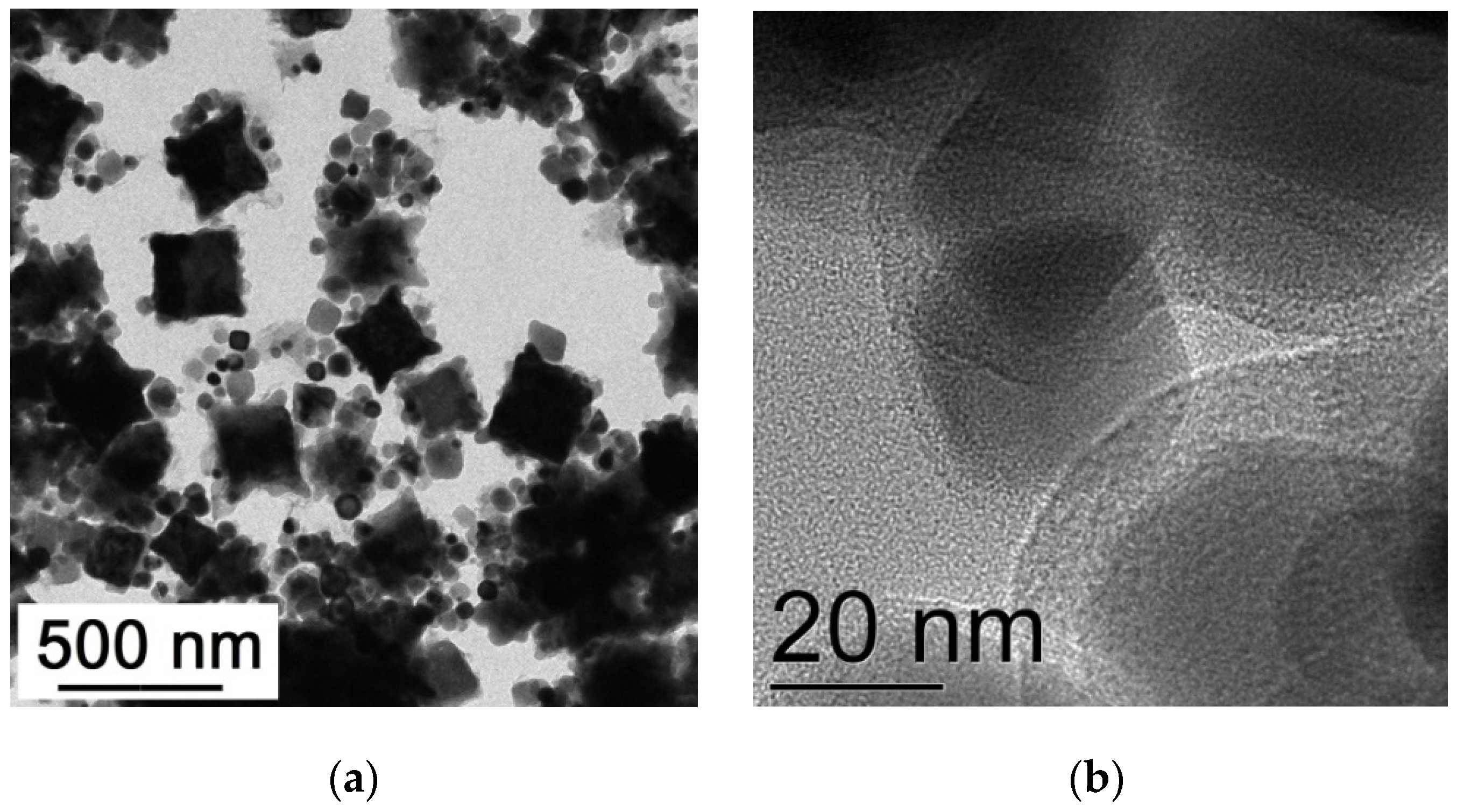 Nanomaterials 12 00376 g006 550