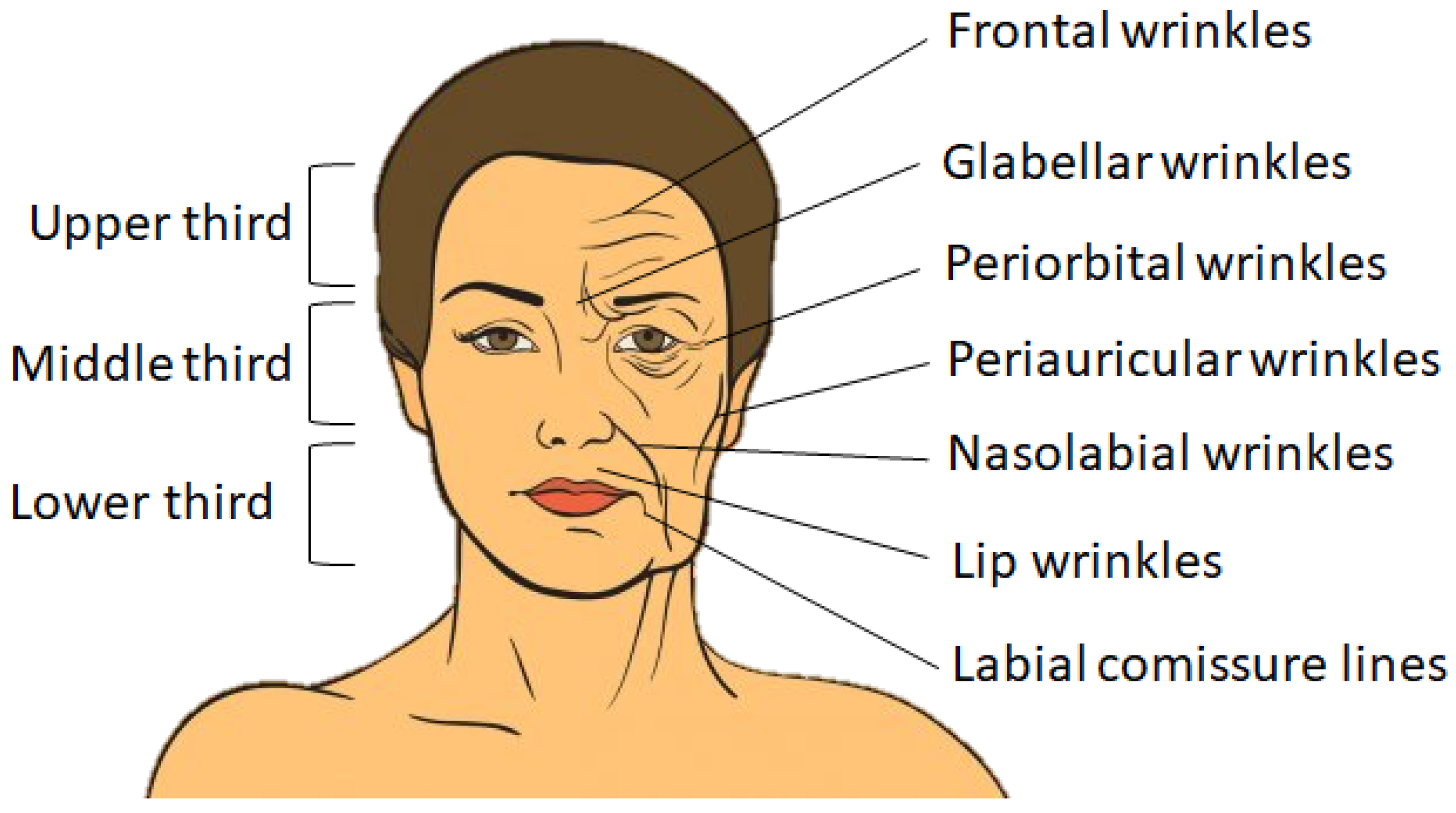 Nanomaterials 12 00377 g001