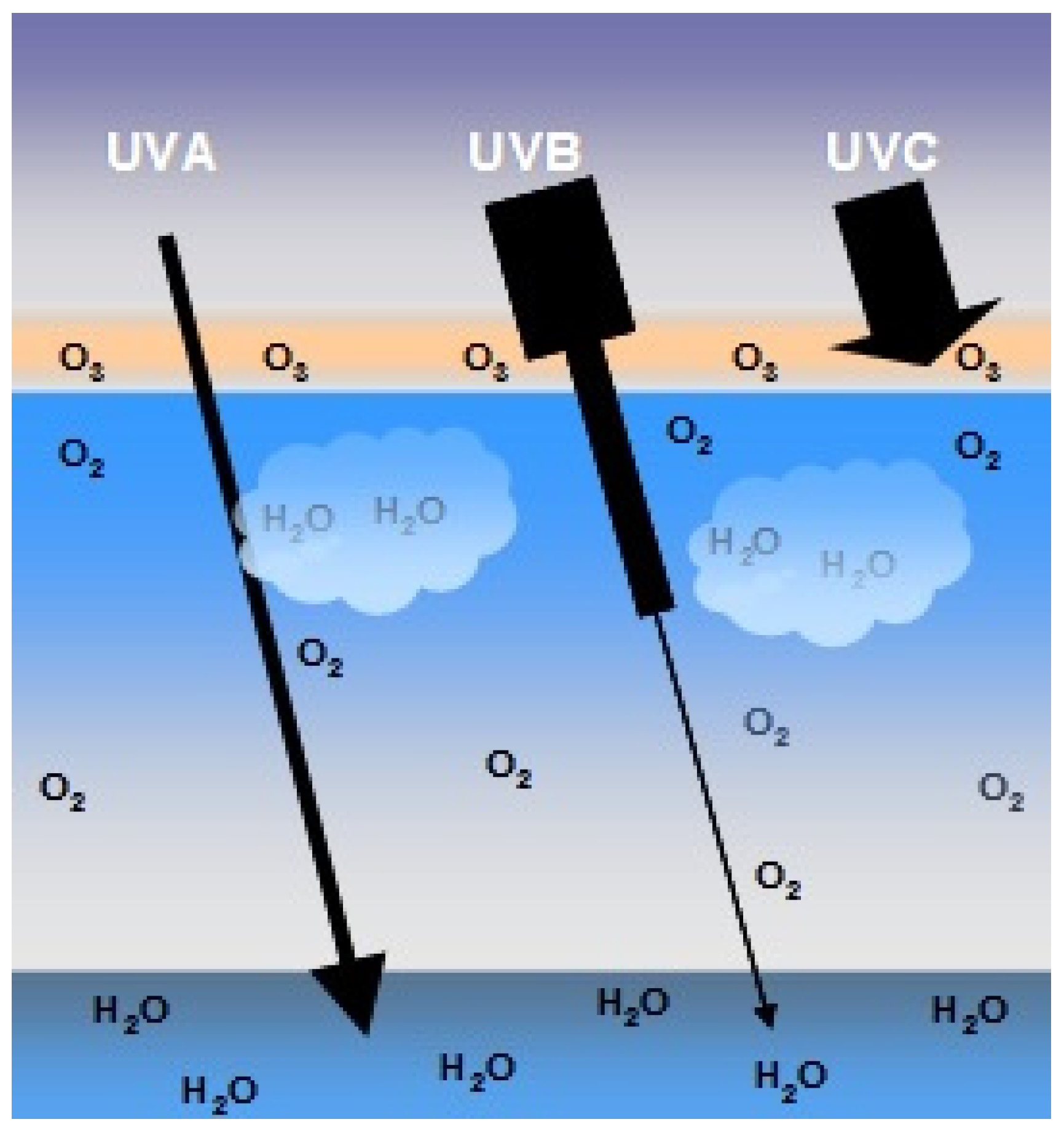 Nanomaterials 12 00377 g004