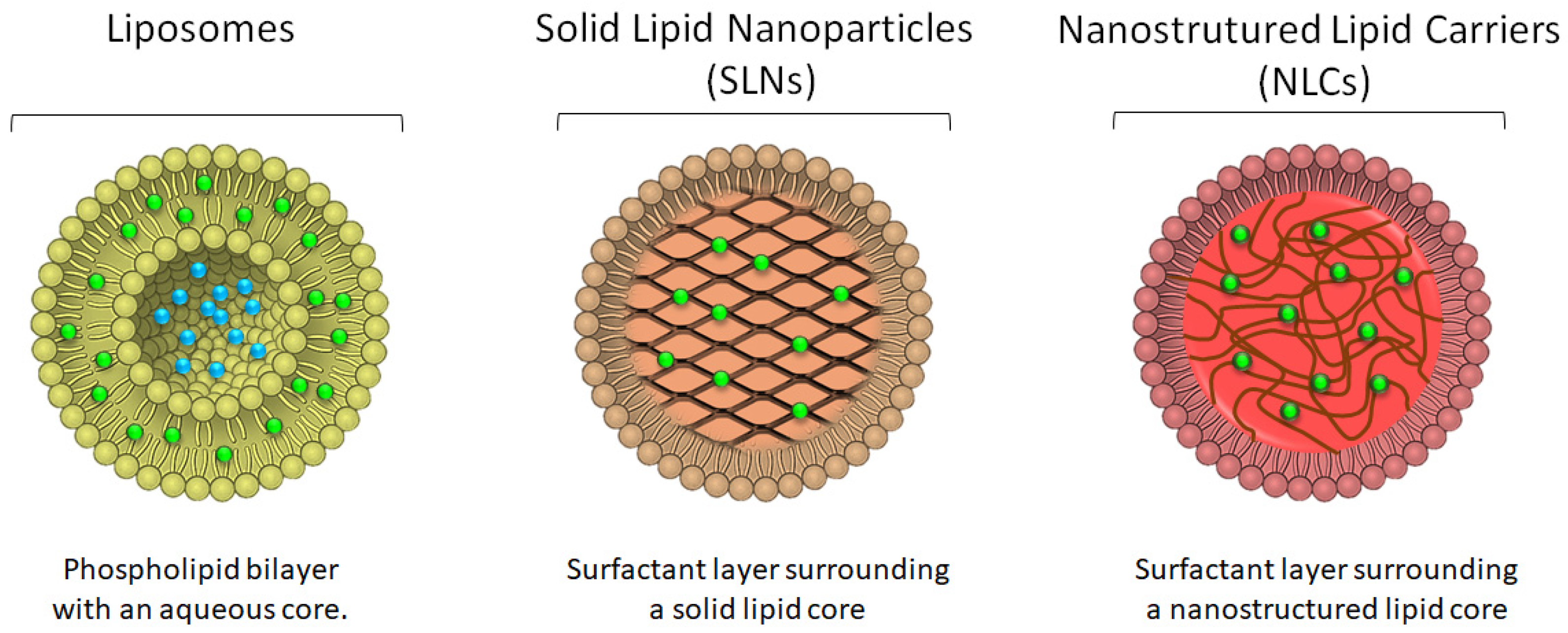 Nanomaterials 12 00377 g005