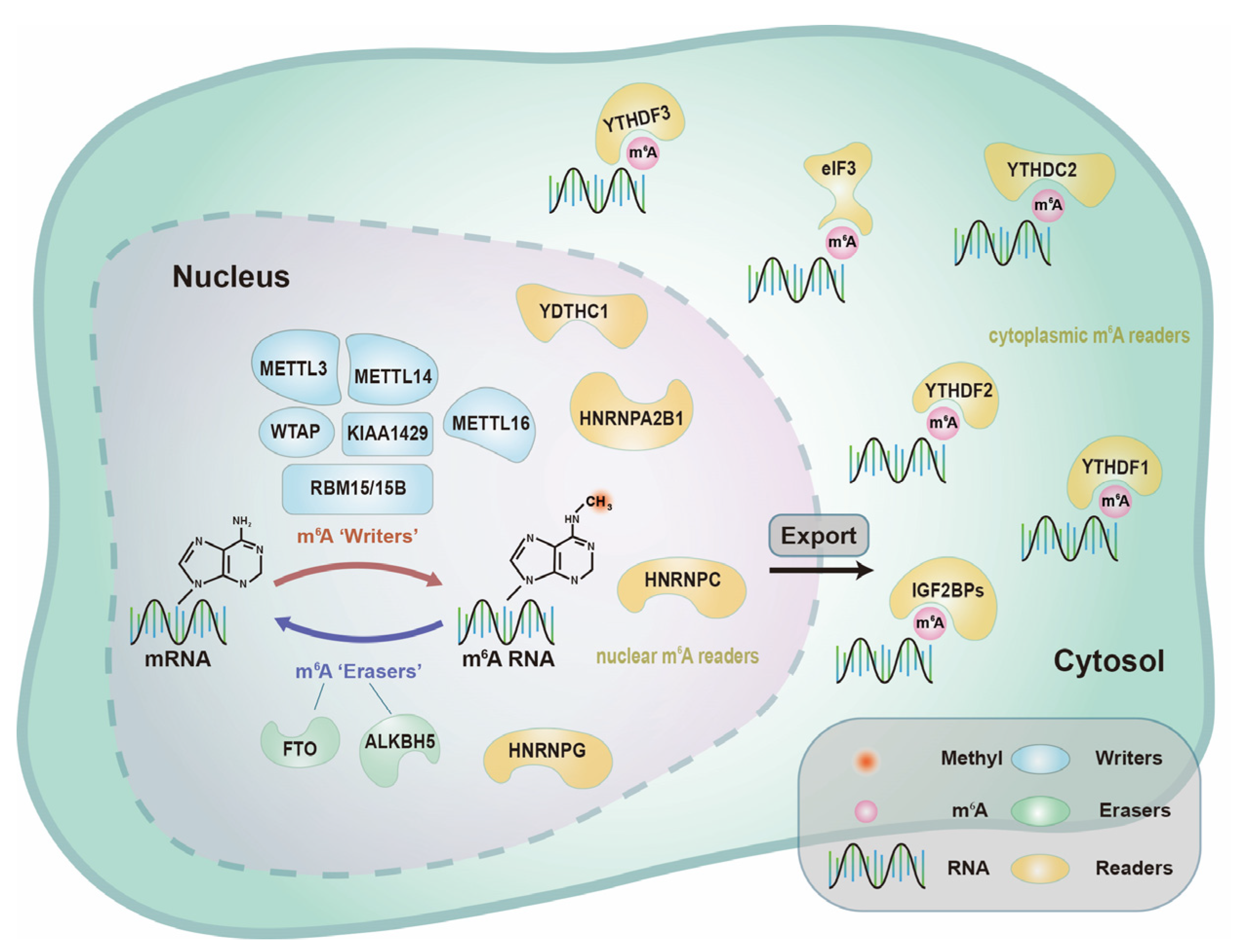 Nanomaterials 12 00389 g001
