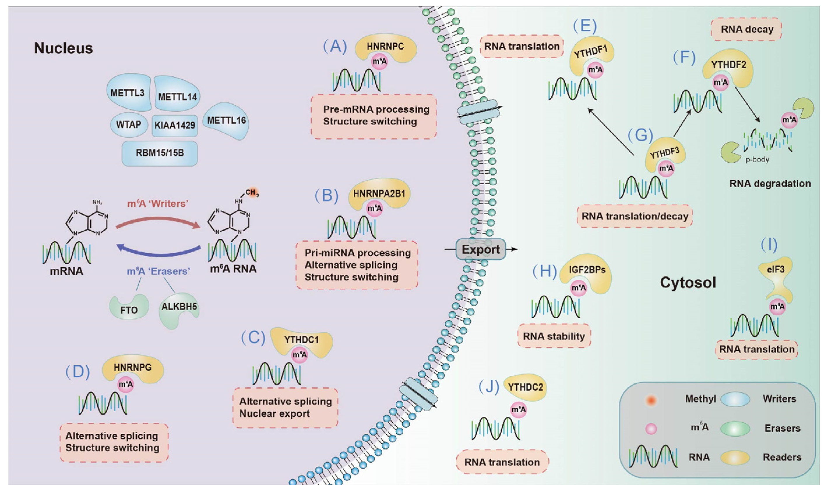 Nanomaterials 12 00389 g002
