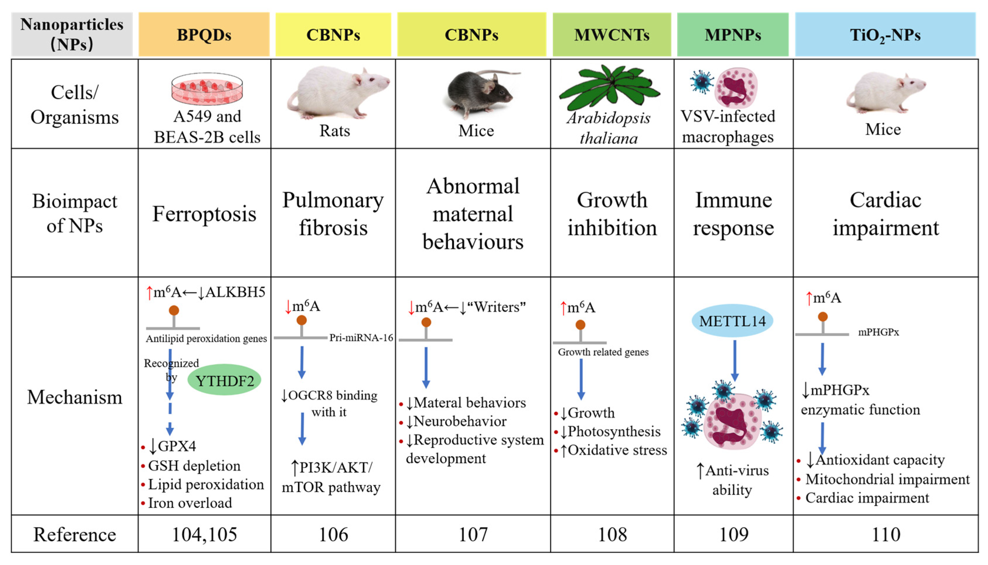 Nanomaterials 12 00389 g004