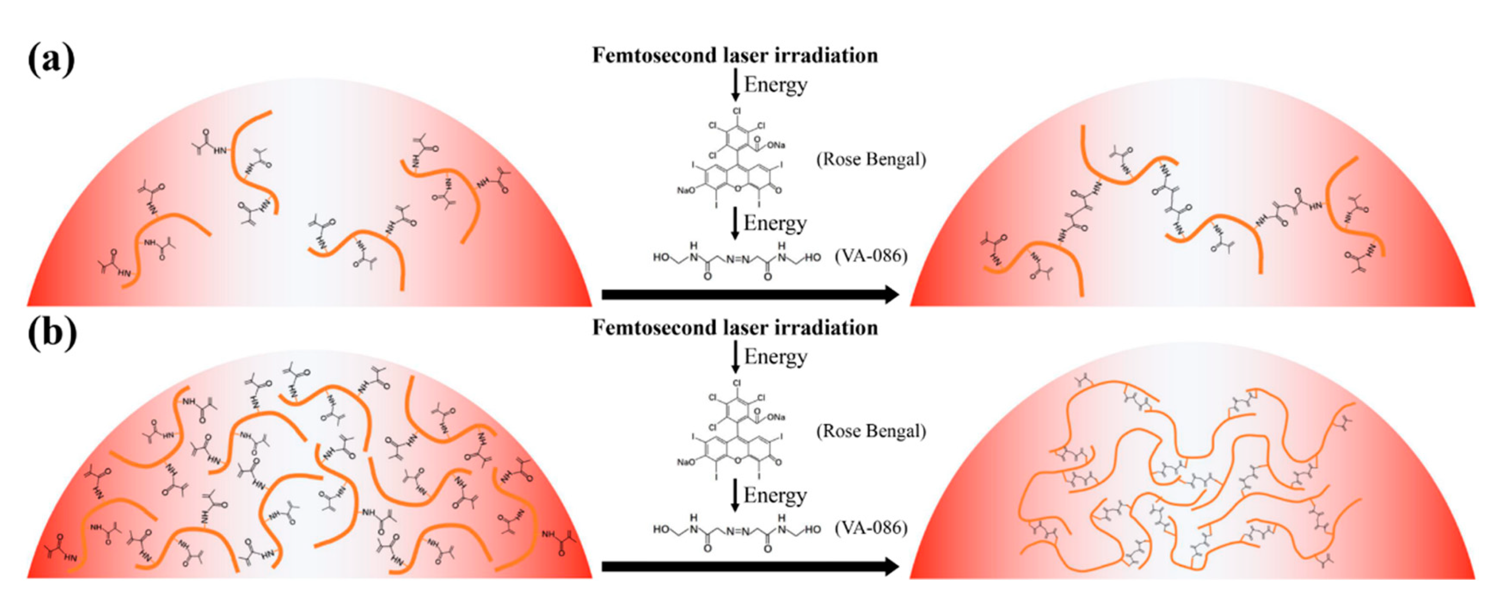 Nanomaterials 12 00391 g005 550
