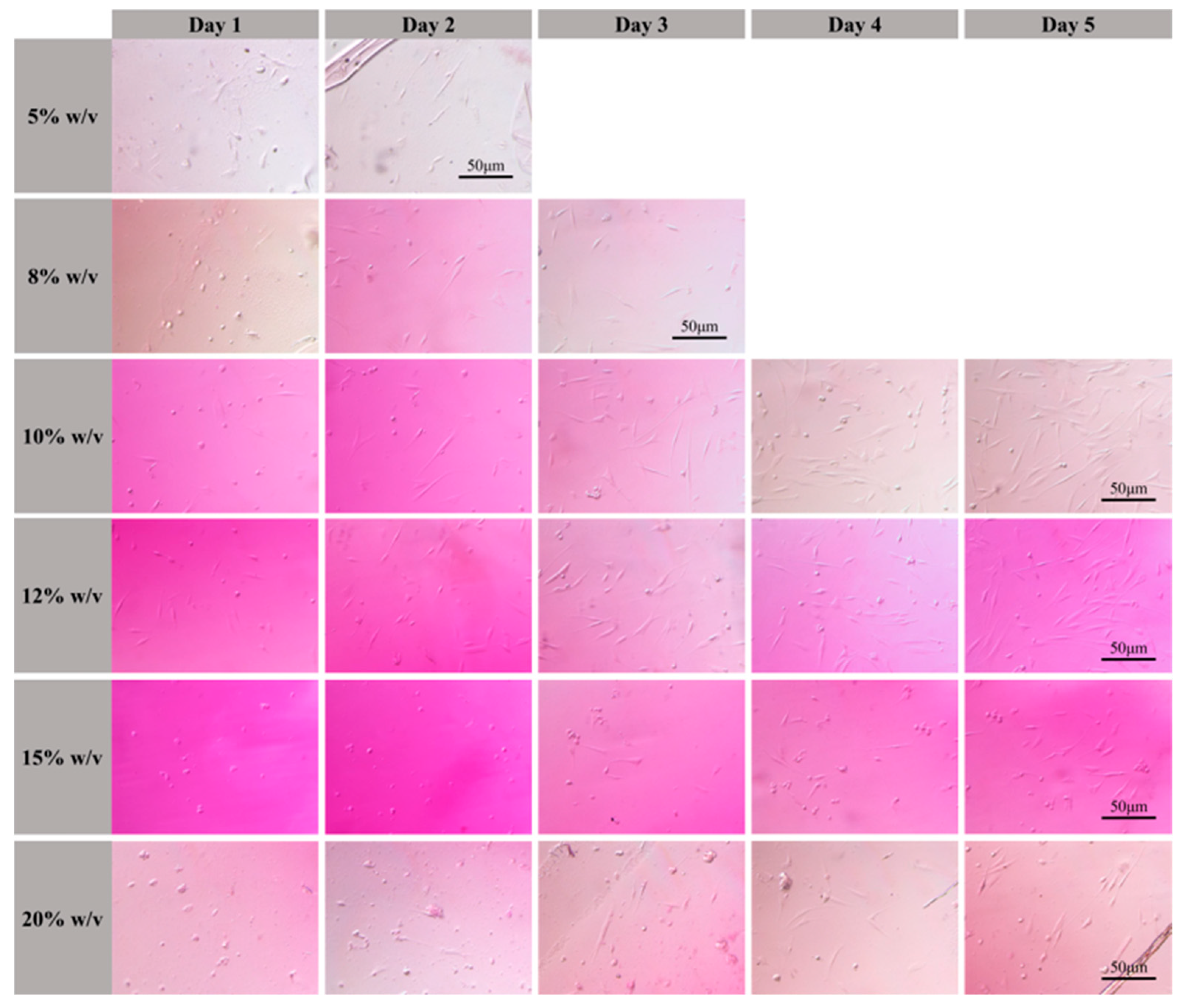 Nanomaterials 12 00391 g007 550