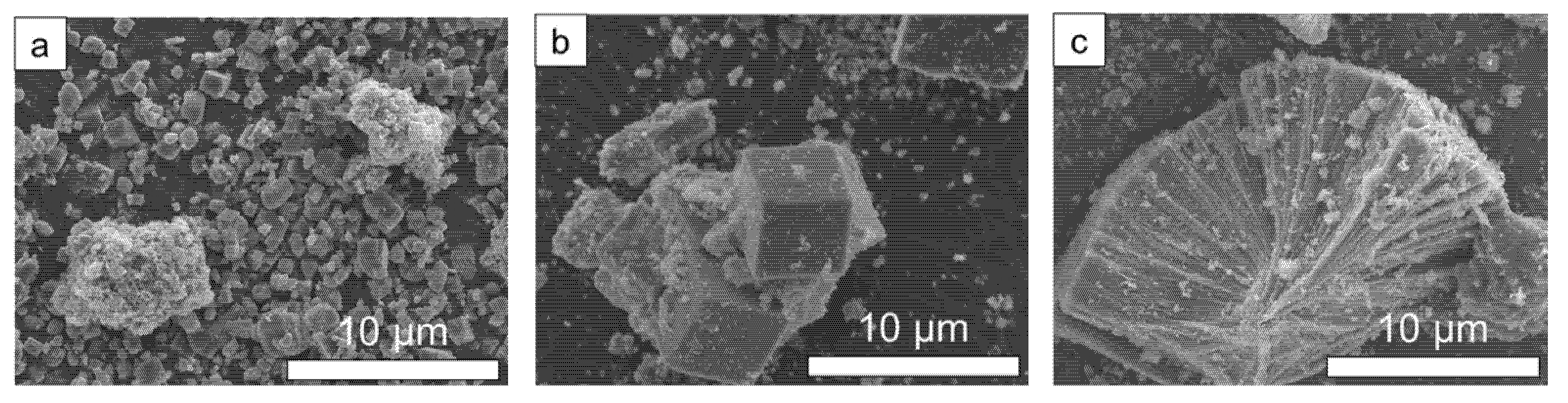 Nanomaterials 12 00396 g002 550