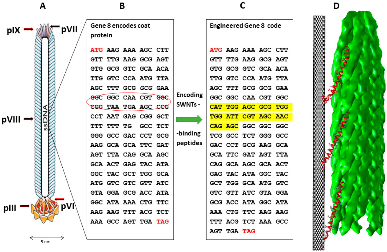 Nanomaterials 12 00398 g001