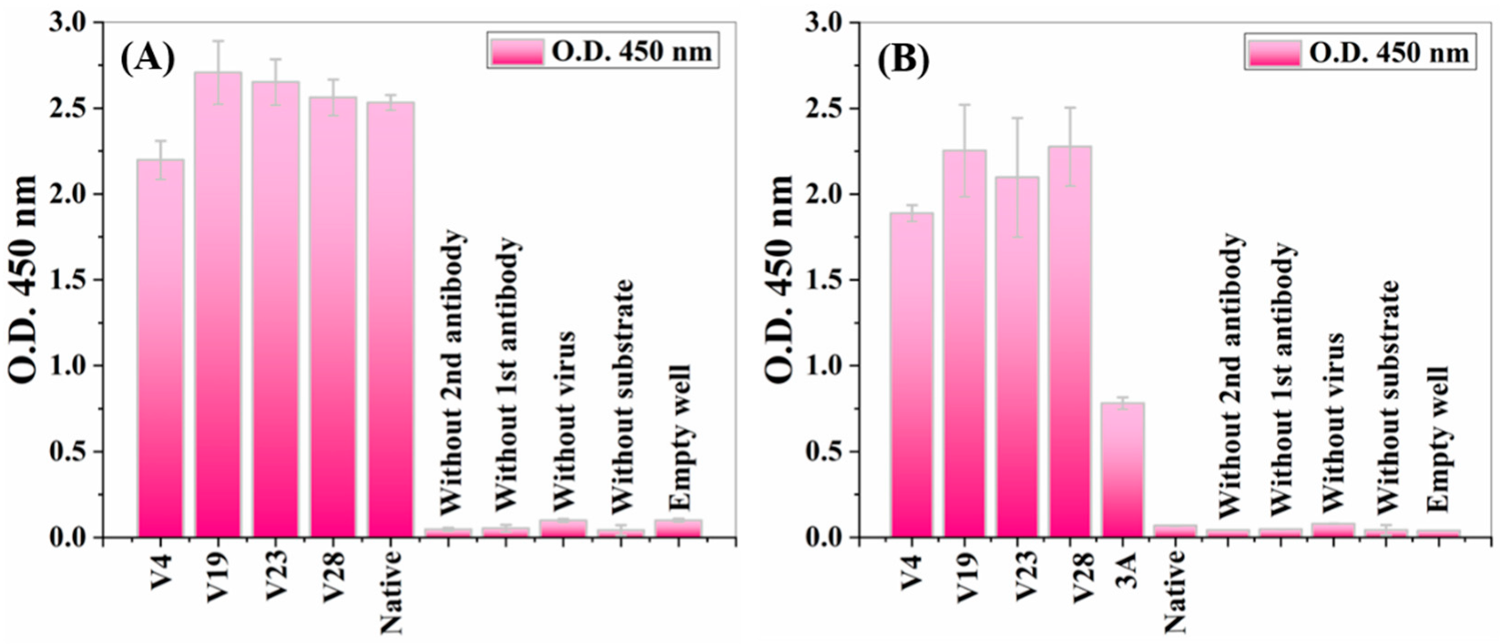 Nanomaterials 12 00398 g002
