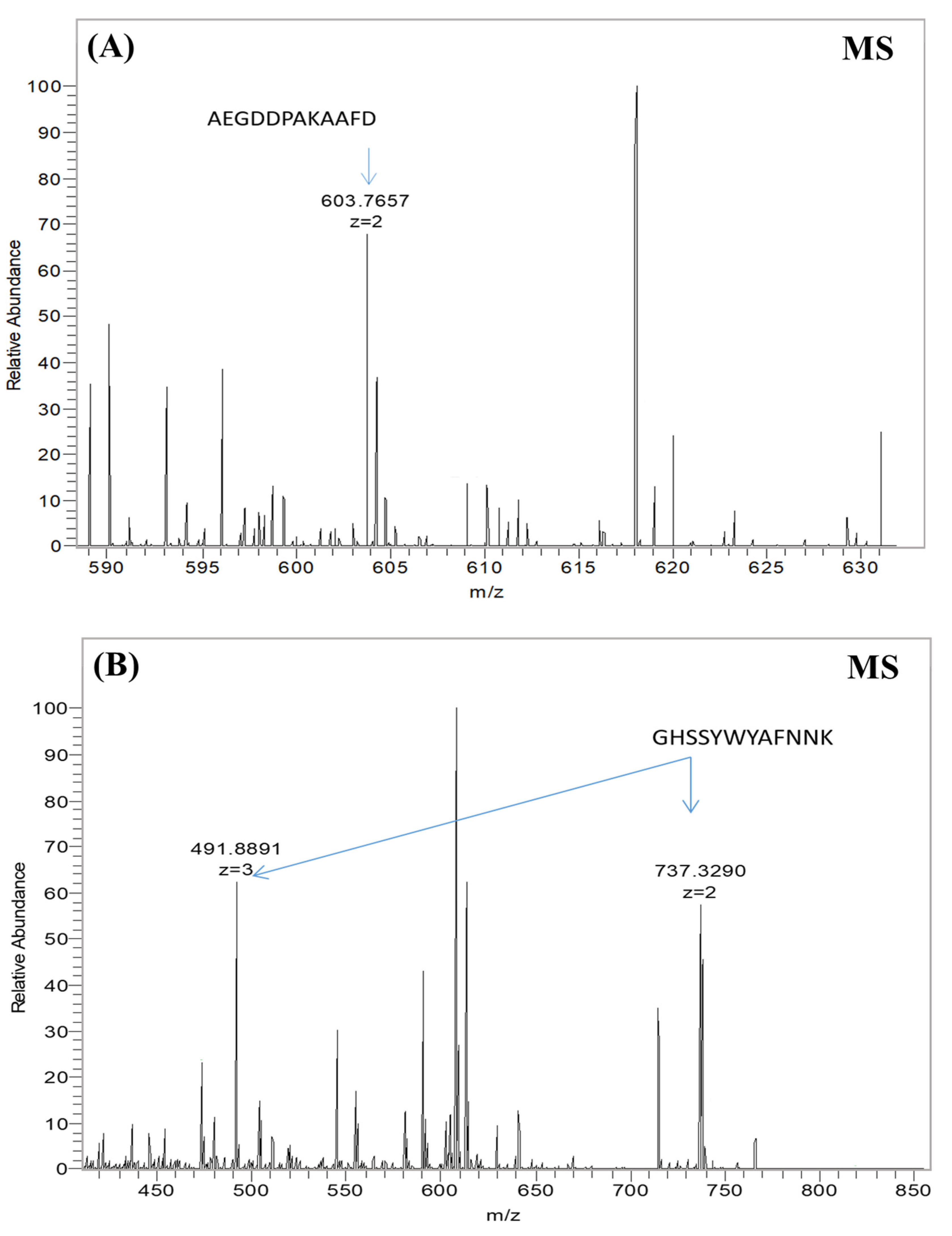 Nanomaterials 12 00398 g003