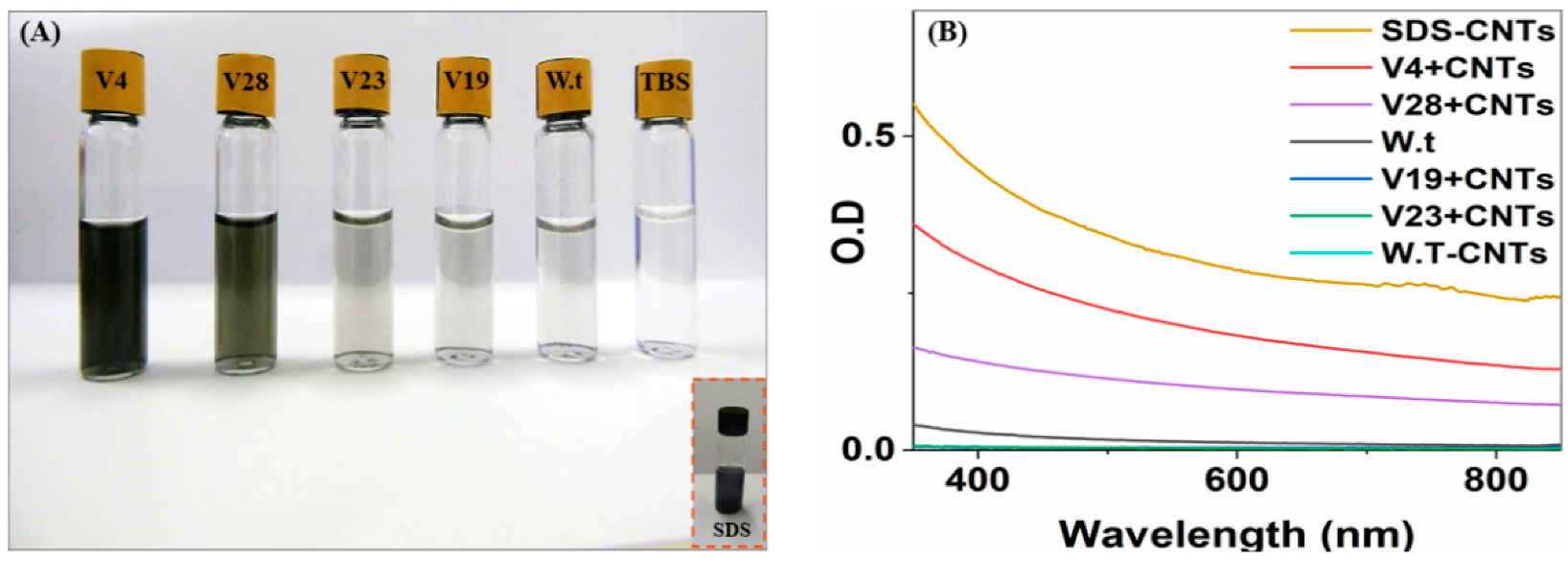 Nanomaterials 12 00398 g005