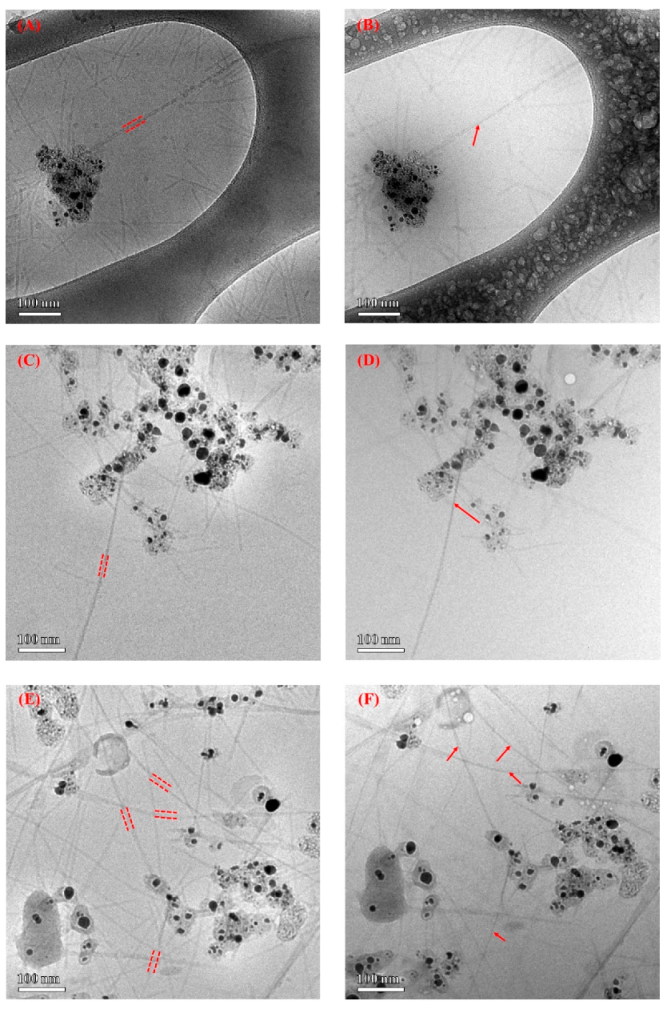 Nanomaterials 12 00398 g006a