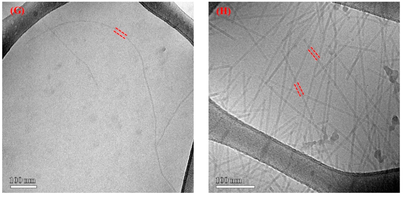 Nanomaterials 12 00398 g006b