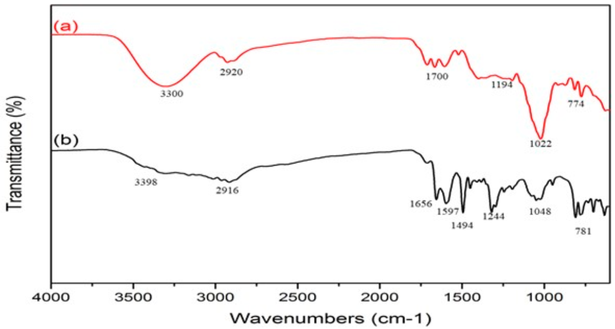 Nanomaterials 12 00400 g002