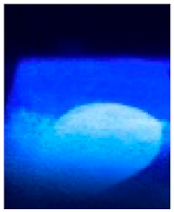 Nanomaterials 12 00400 i002