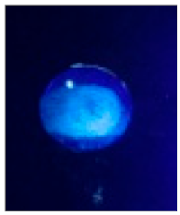 Nanomaterials 12 00400 i006