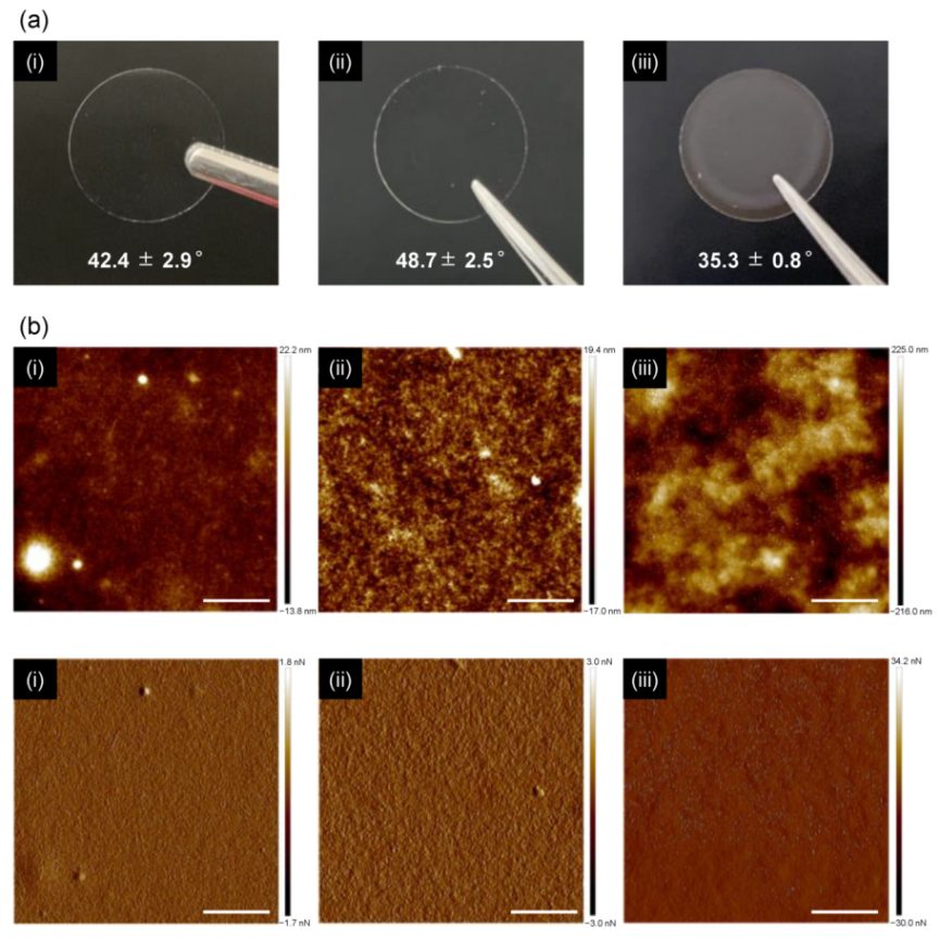 Nanomaterials 12 00402 g003 Nanomaterials 12 00402 g003