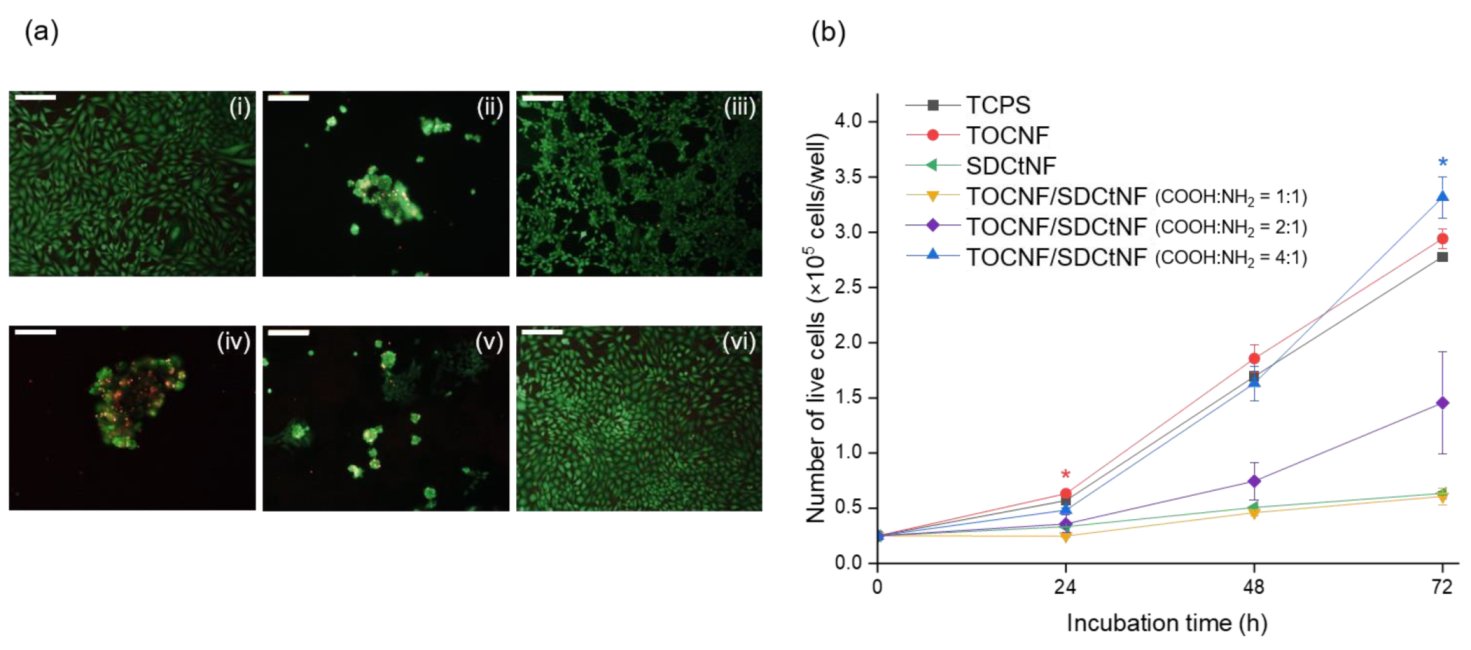 Nanomaterials 12 00402 g004 Nanomaterials 12 00402 g004