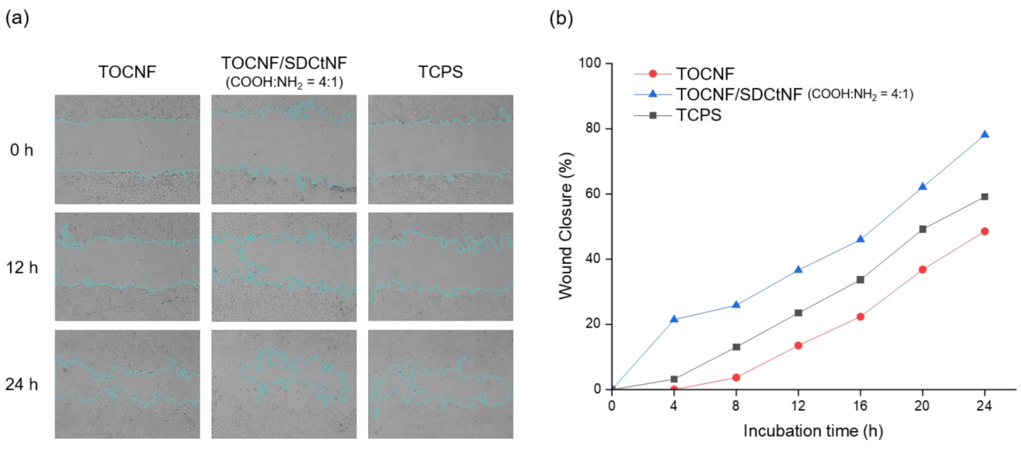 Nanomaterials 12 00402 g005 Nanomaterials 12 00402 g005