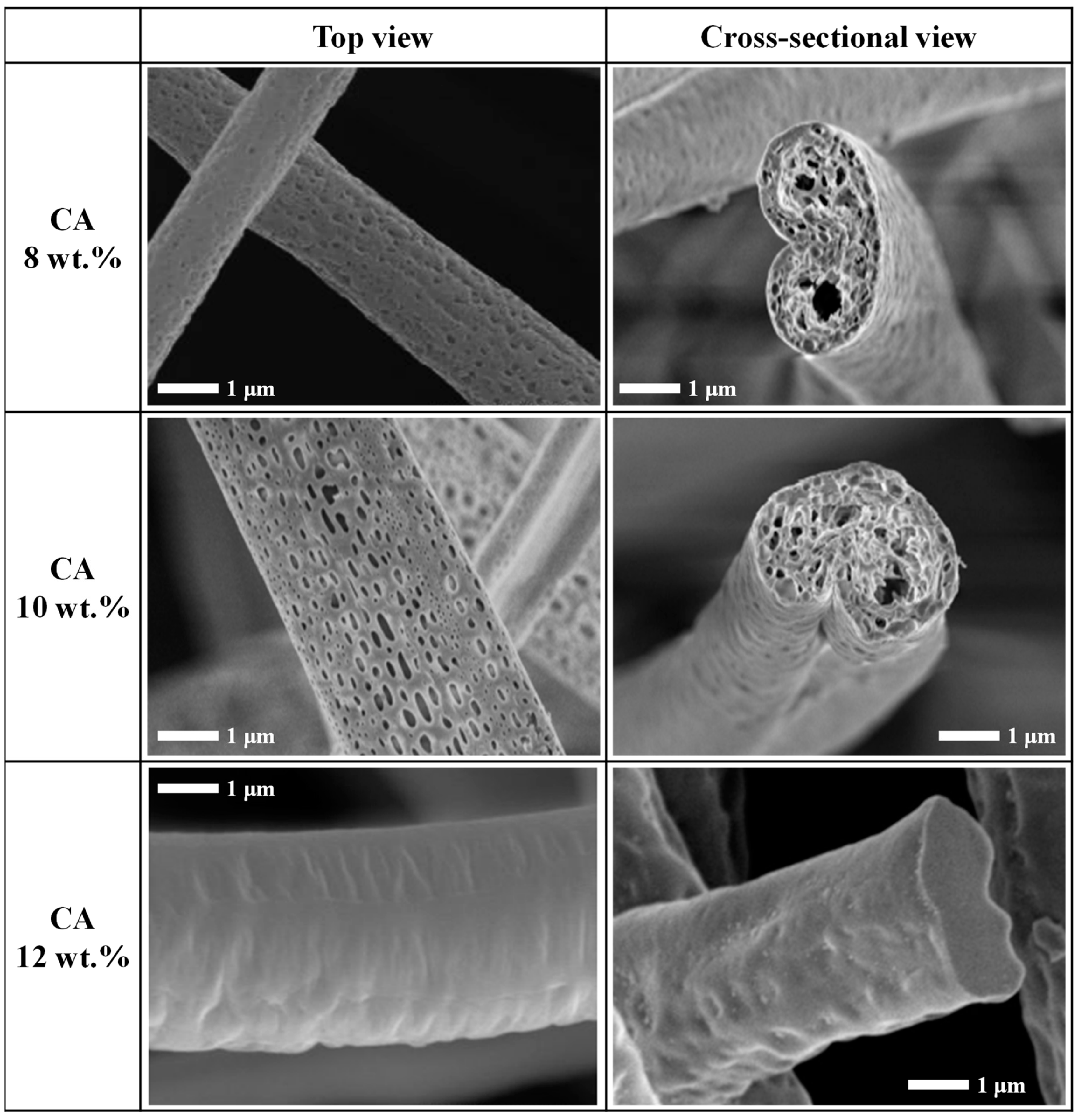 Nanomaterials 12 00404 g003 550