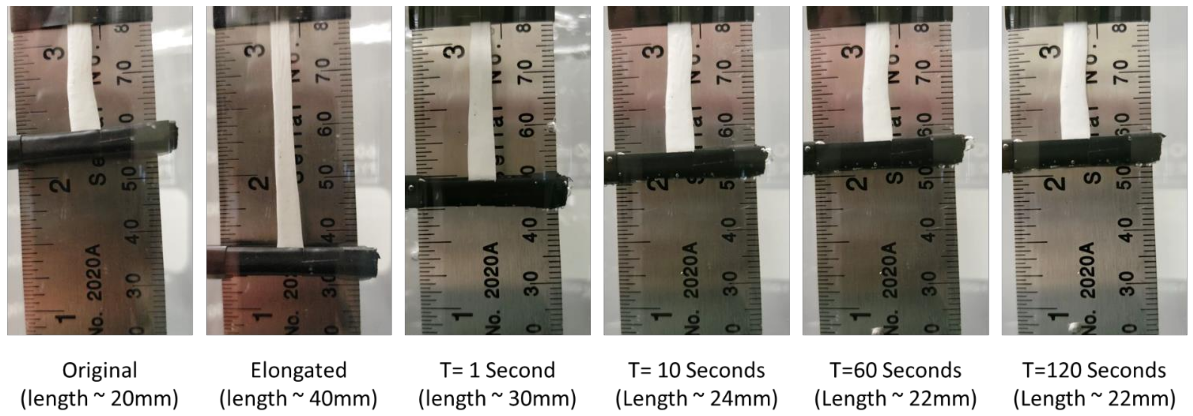 Nanomaterials 12 00406 g010