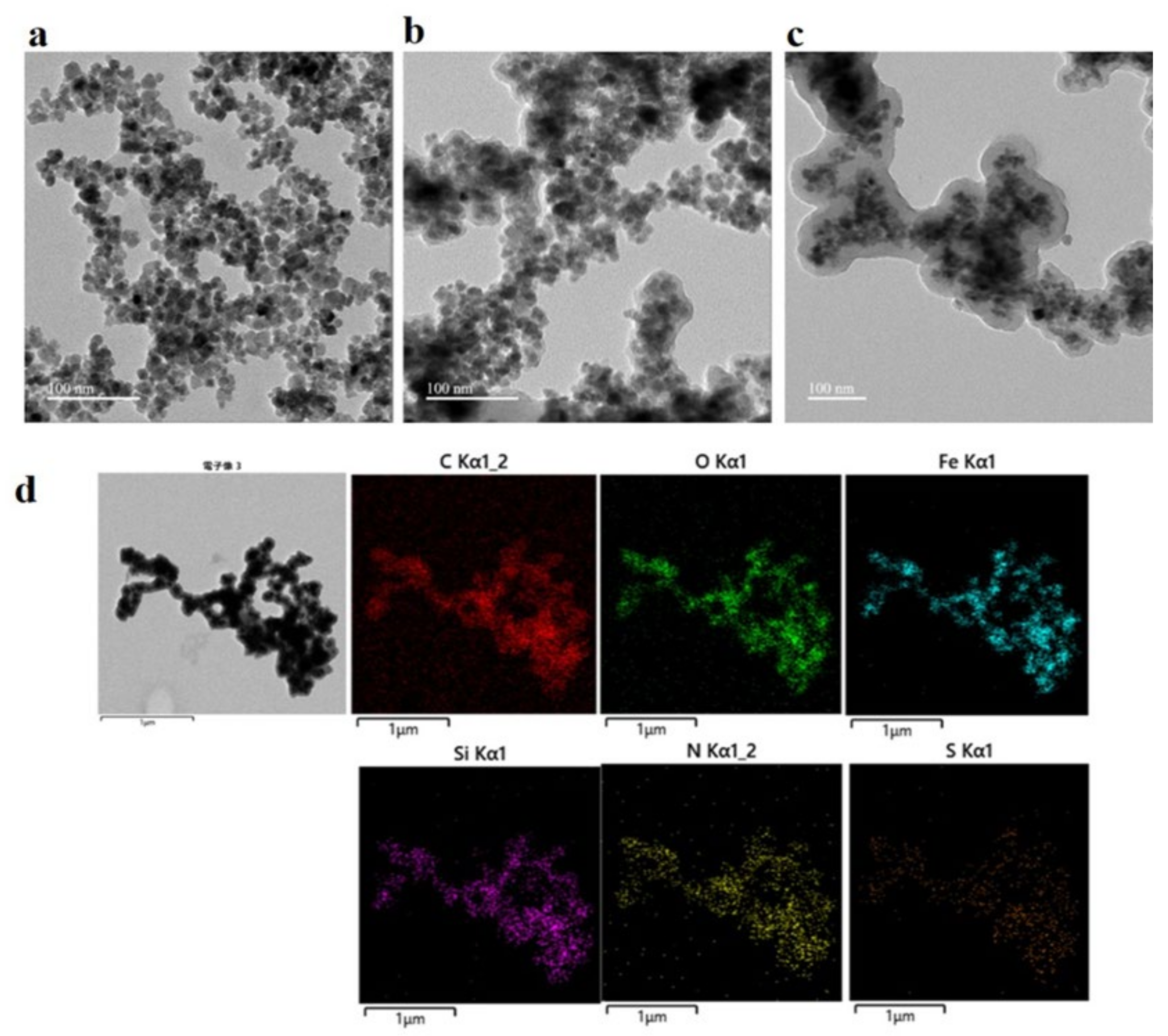 Nanomaterials 12 00411 g001