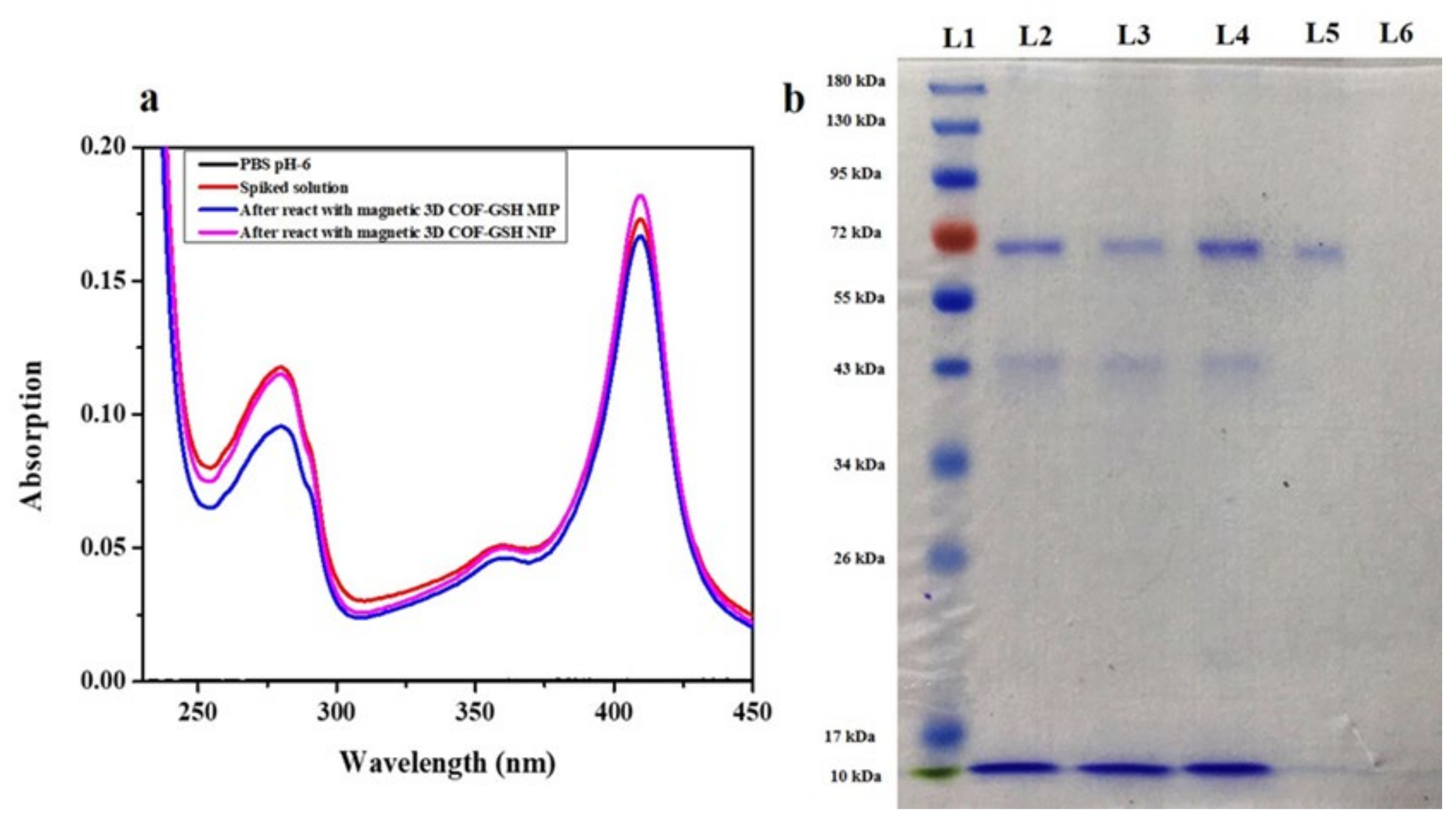 Nanomaterials 12 00411 g006